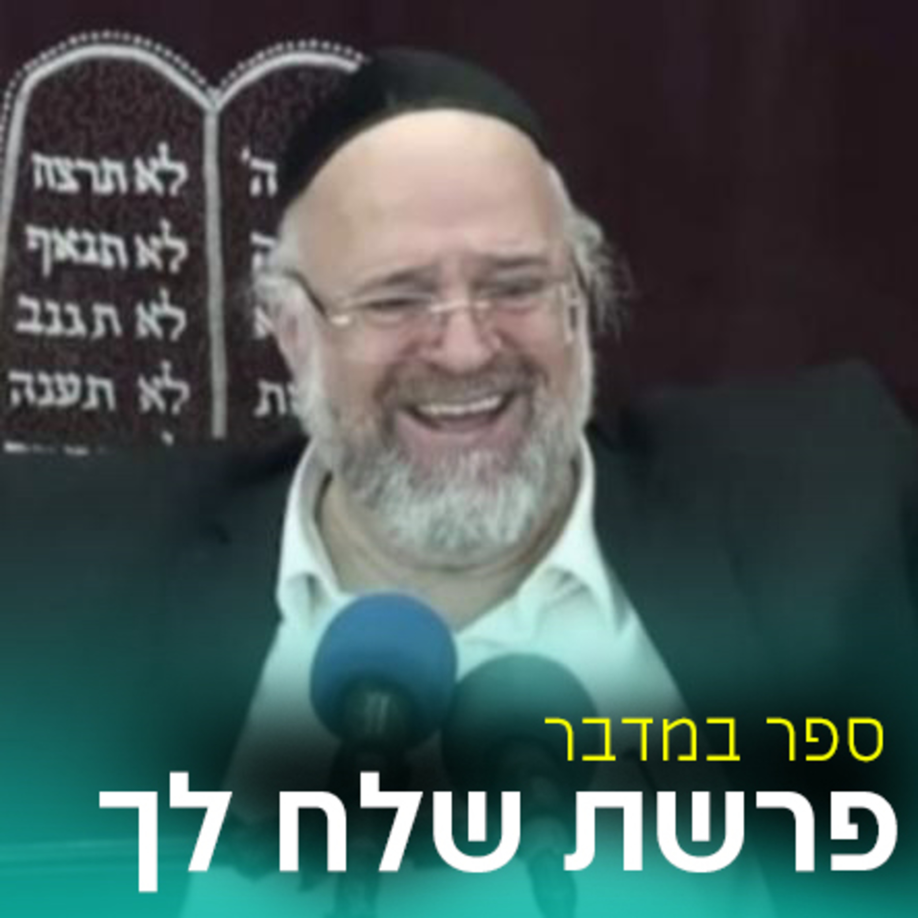 פרשת שלח לך תשפ"ד - הרב ברוך רוזנבלום