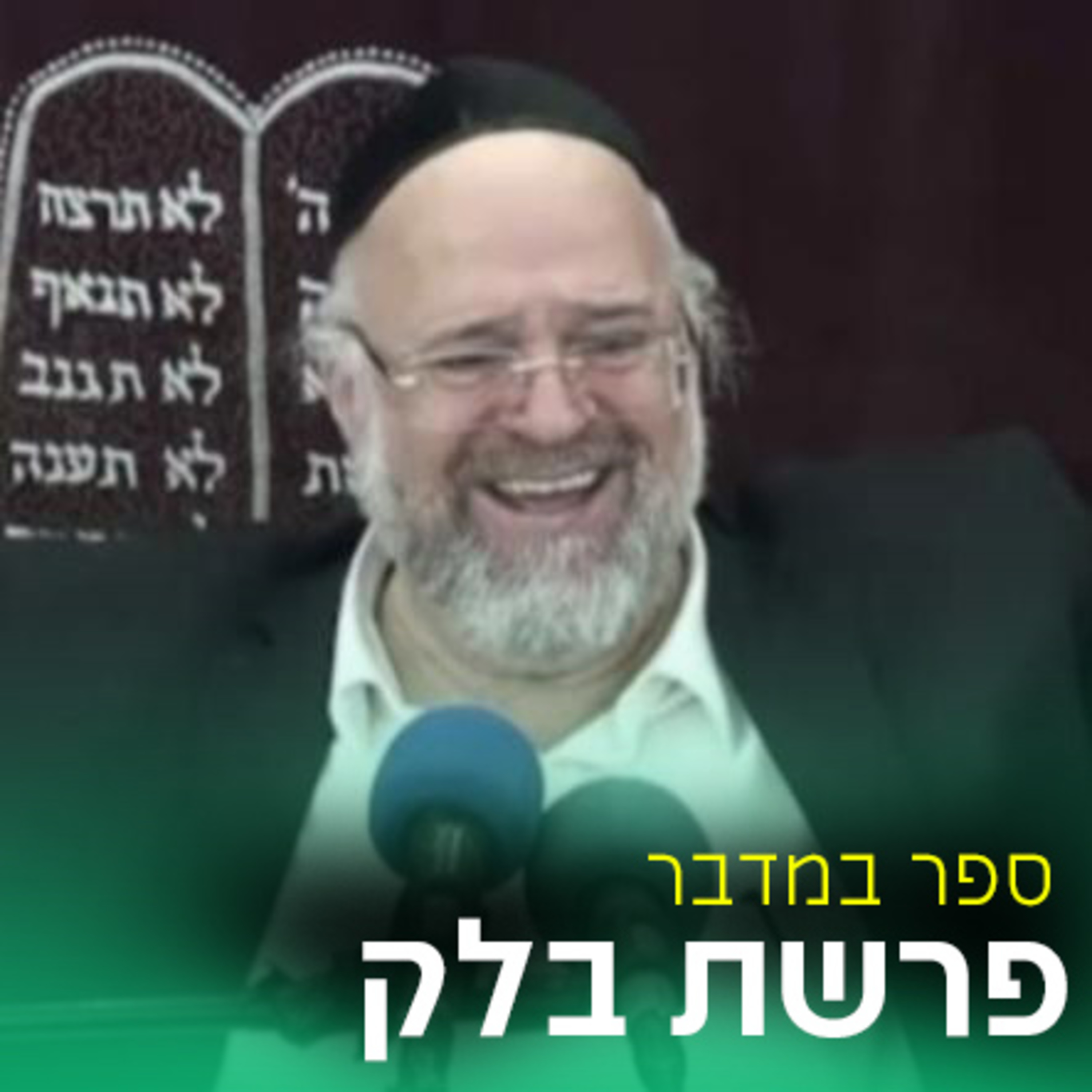 פרשת בלק תשפ"ד - הרב ברוך רוזנבלום