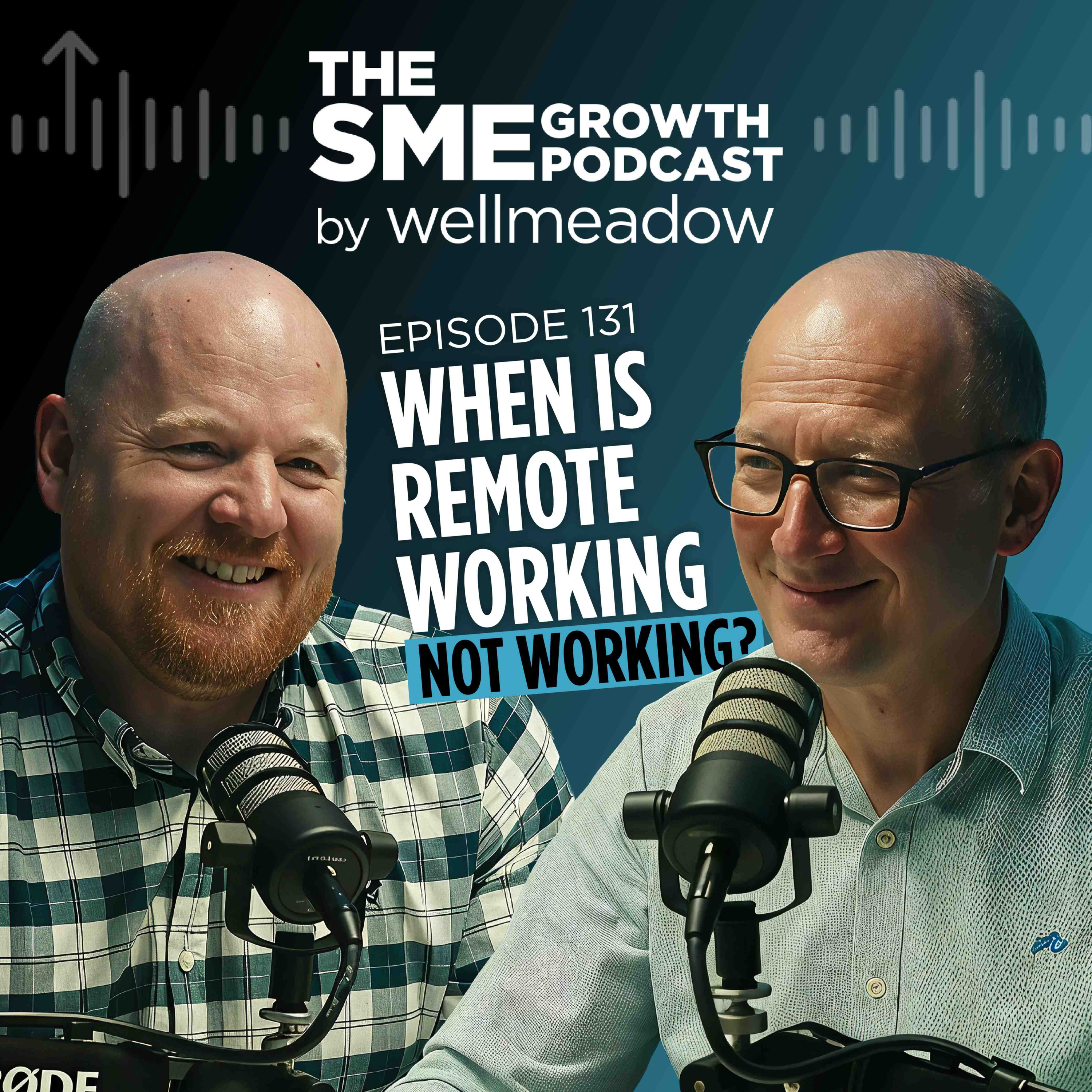 The SME Growth Podcast by Wellmeadow