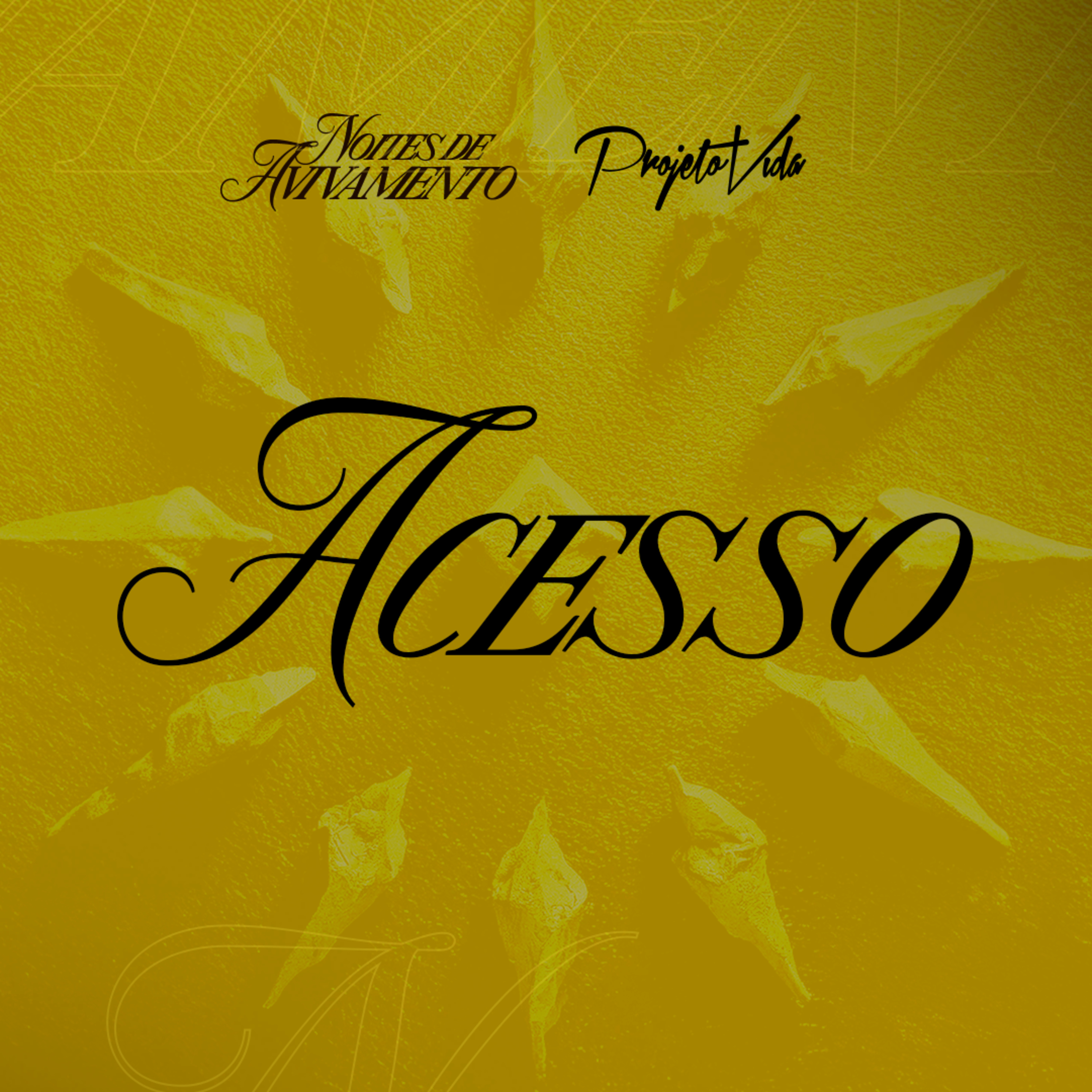MSG // Acesso