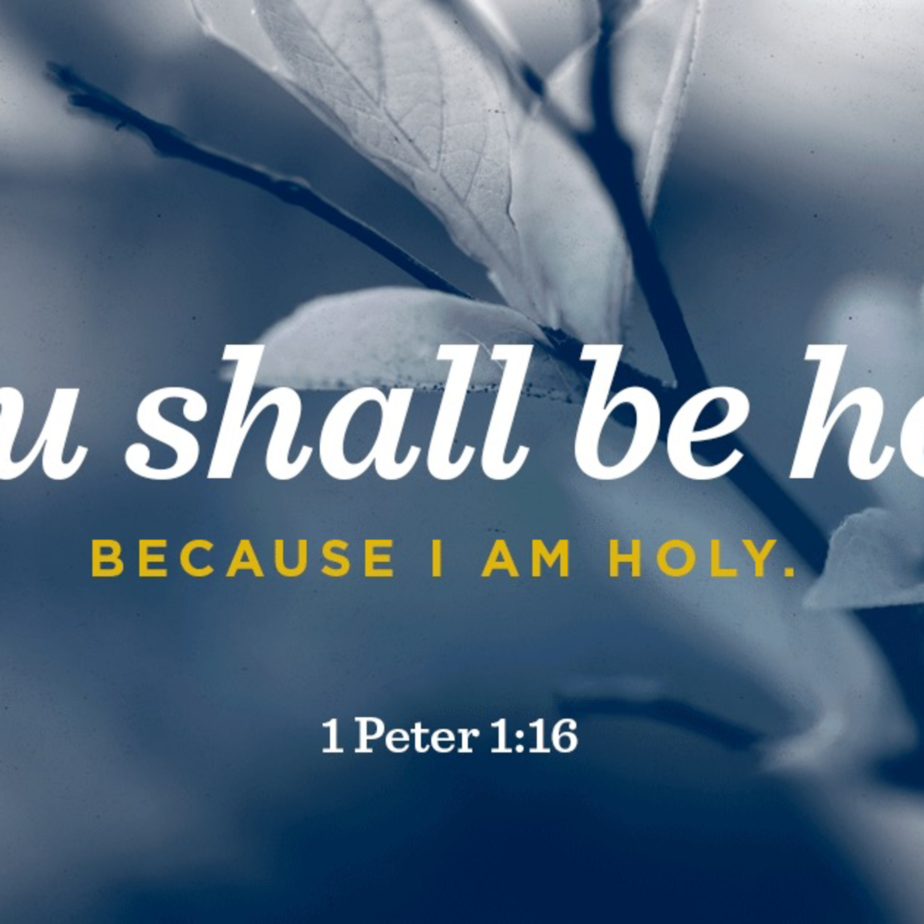 You shall be holy because I am Holy.” 