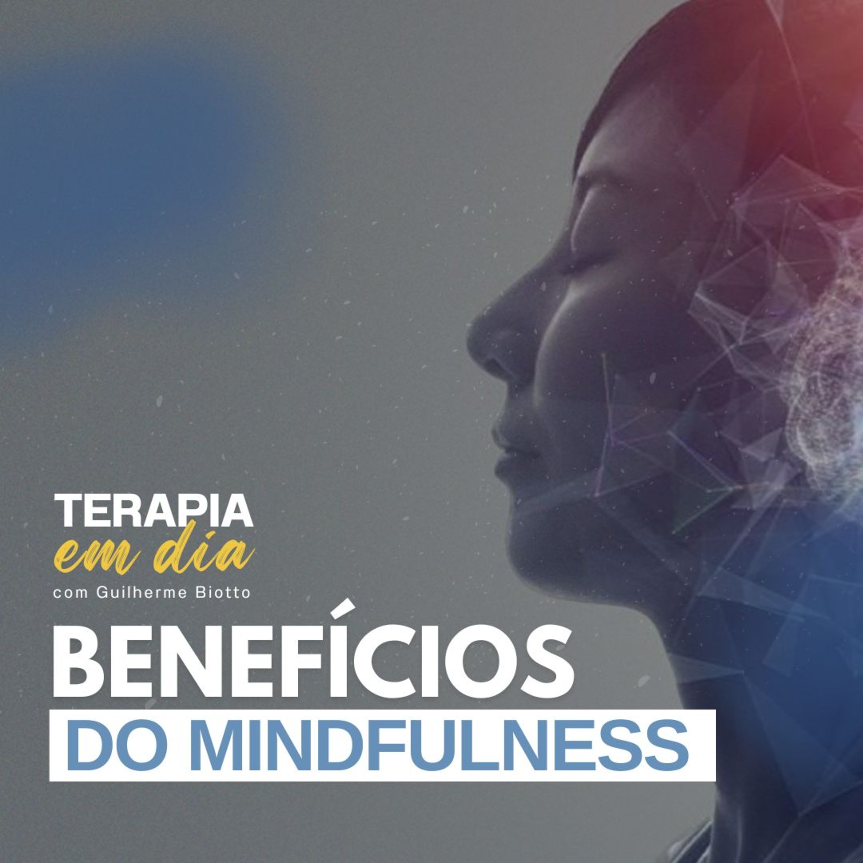 Terapia em Dia com Guilherme Biotto