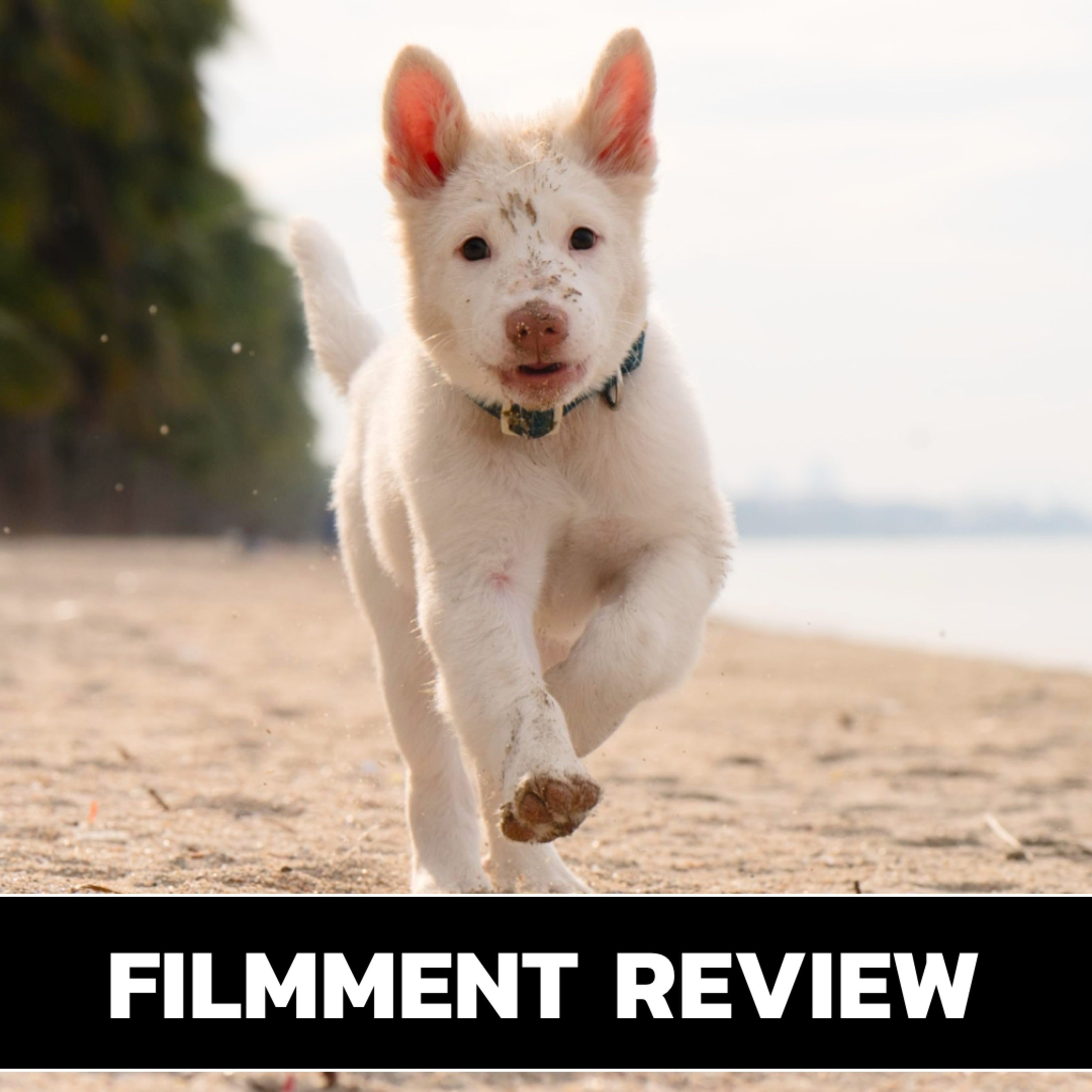 รีวิว โกฮัง หัวใจโกโฮม - GOHAN The Movie l Filmment Review episode artwork
