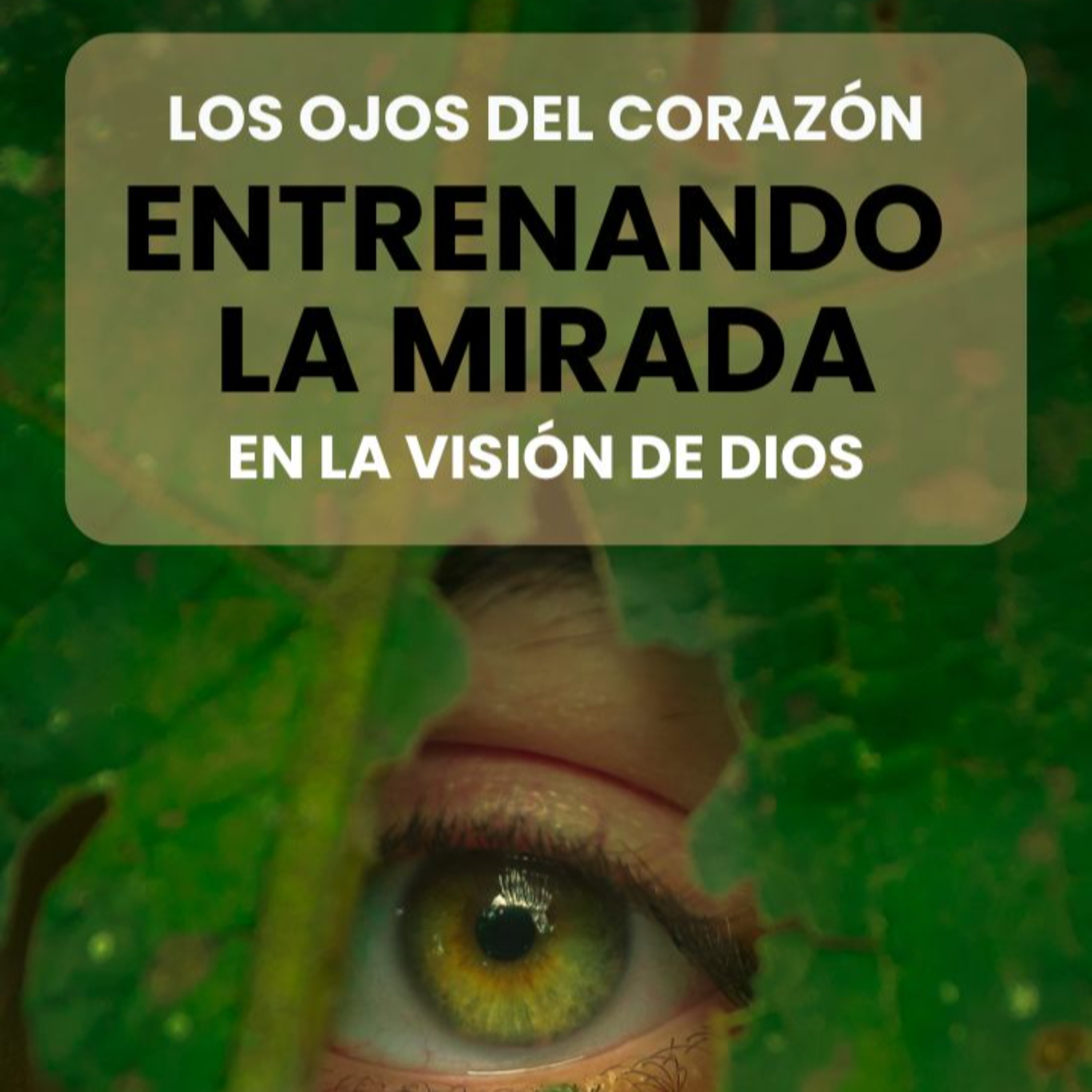 La Verdad de Cristo