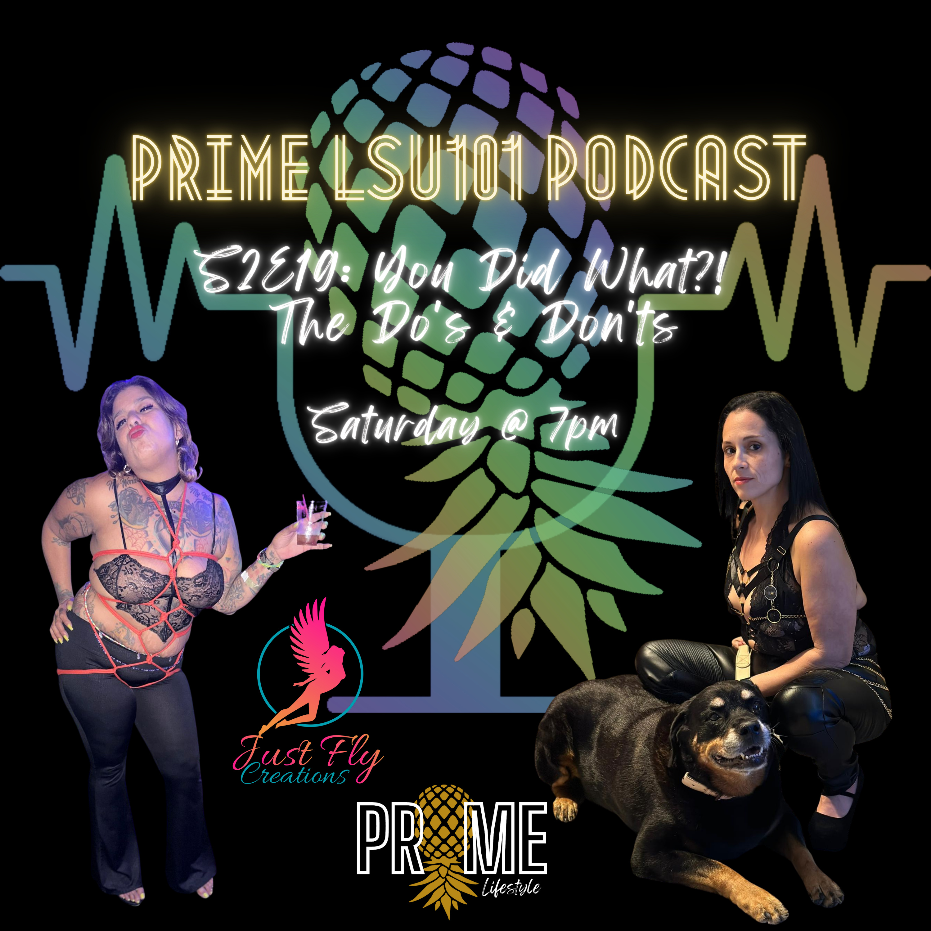 S2E20 You Did What?! The Do's & Don'ts episode artwork