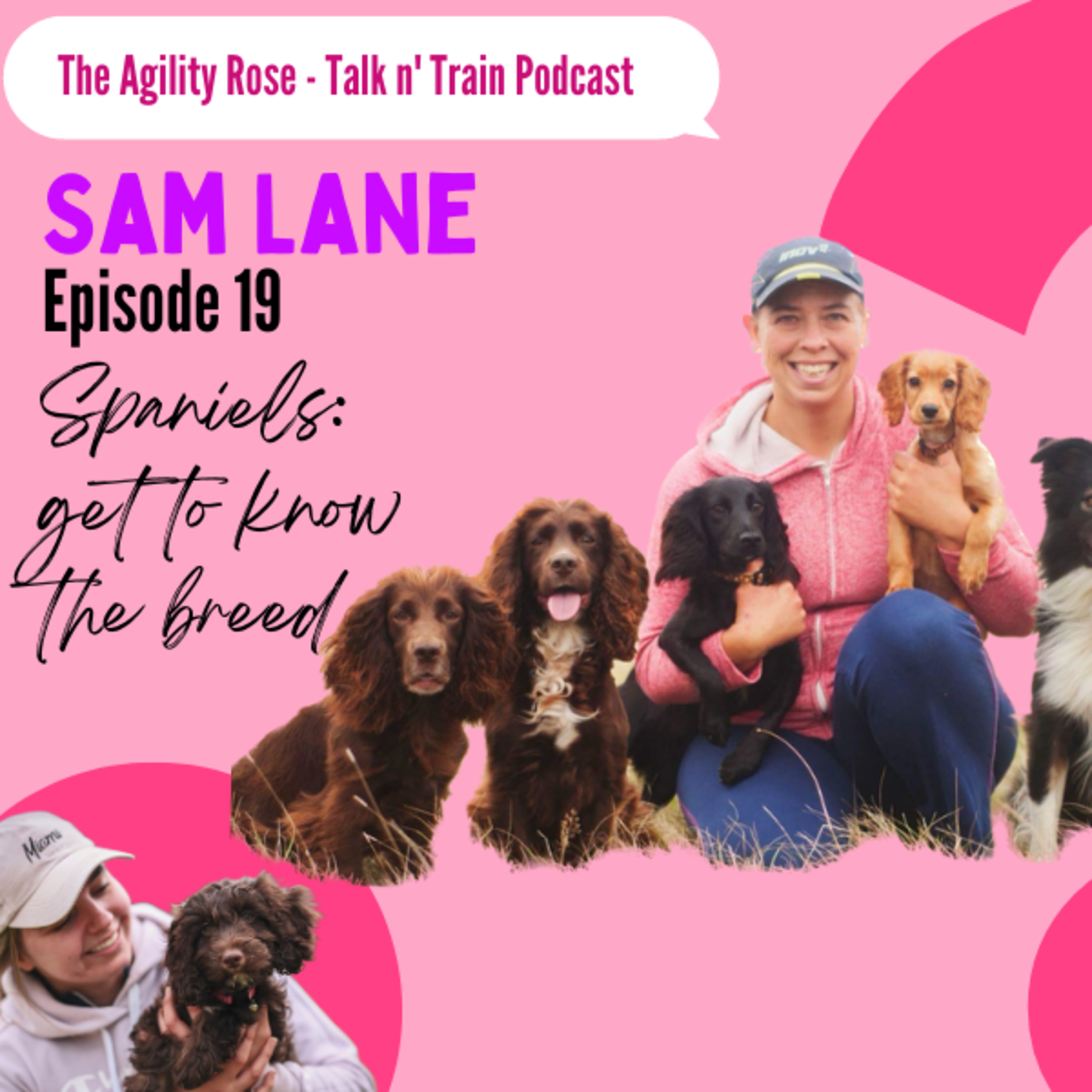 The Agility Rose - Talk n’ Train Podcast
