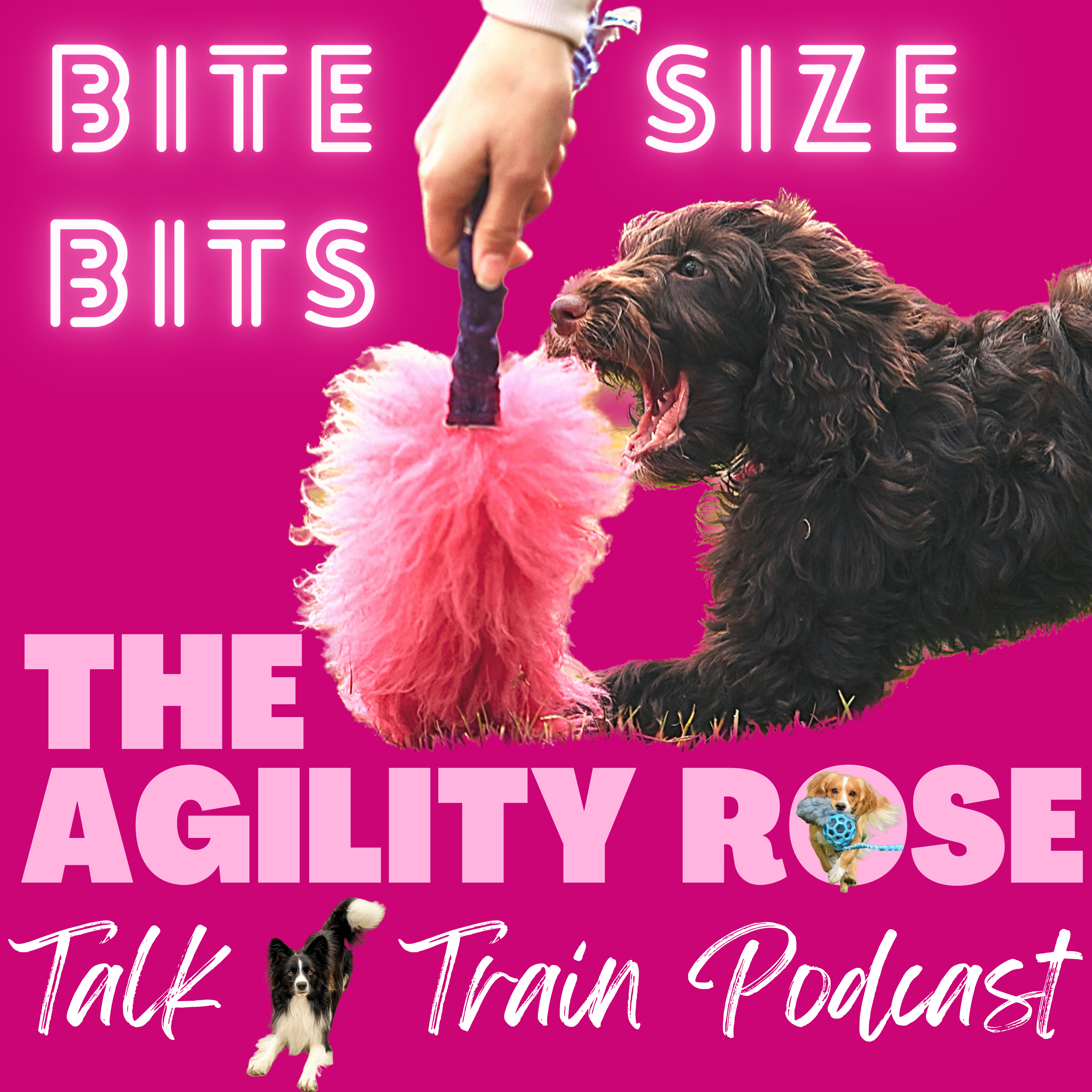 The Agility Rose - Talk n’ Train Podcast