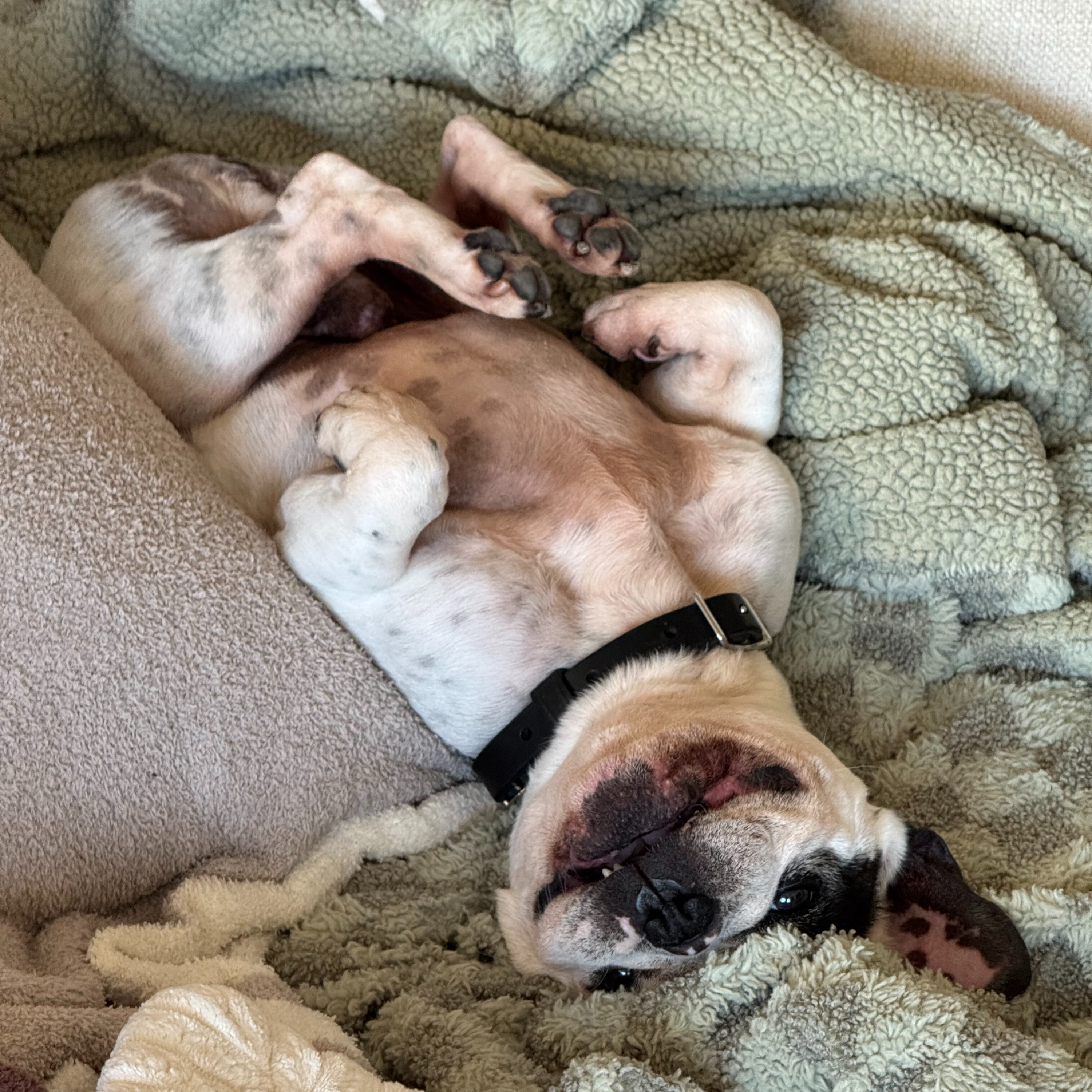 Episode 130: Resolutions (2025)