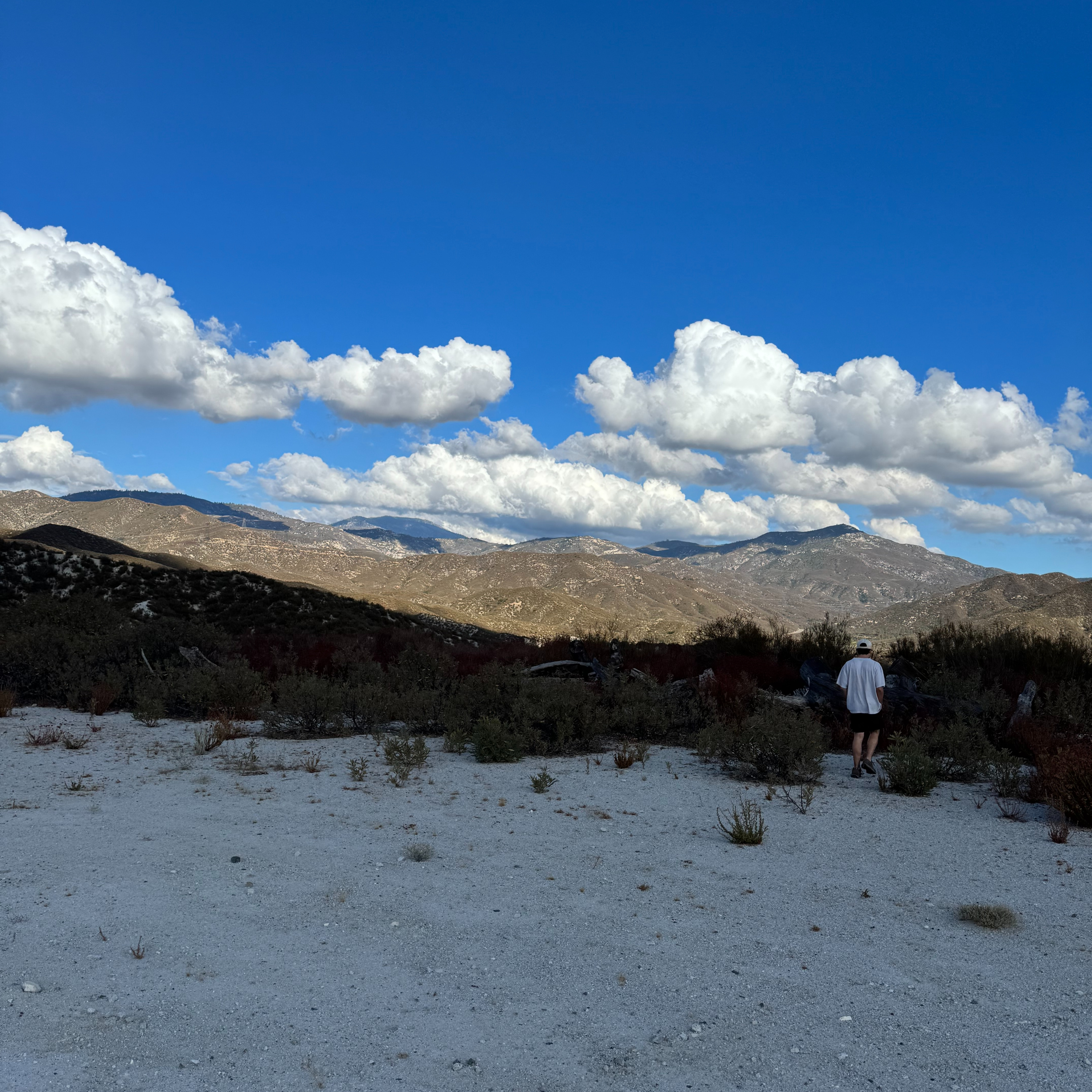 Episode 134: Weather