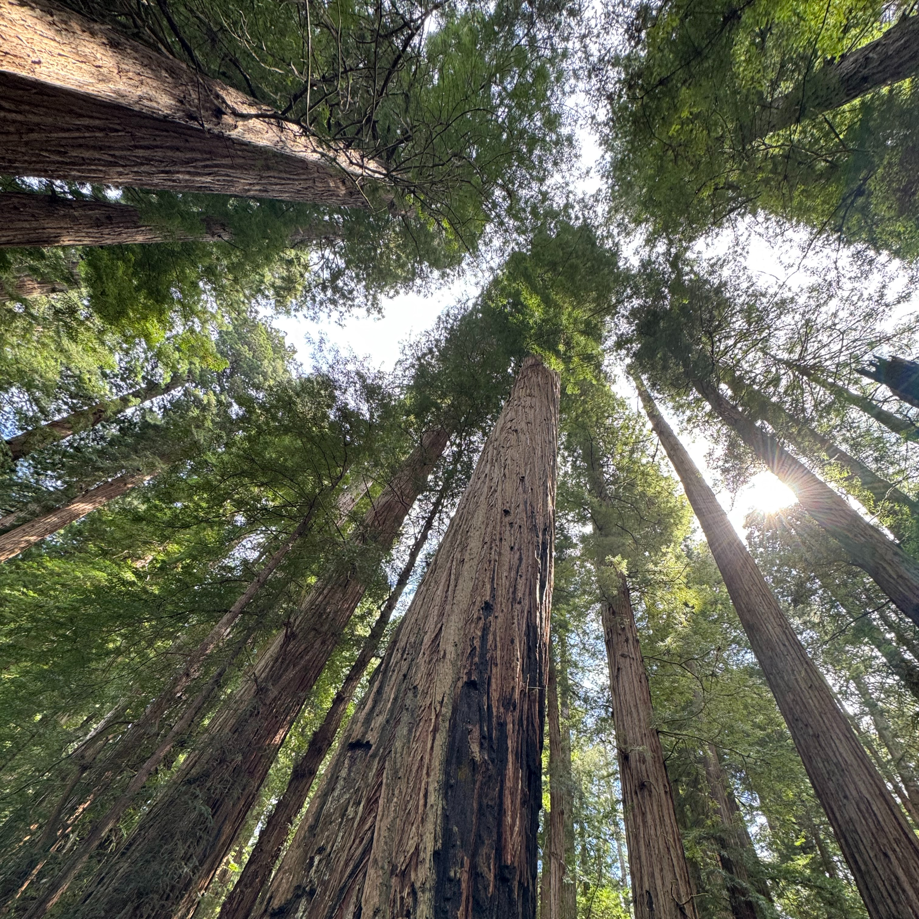 Episode 148: National Parks