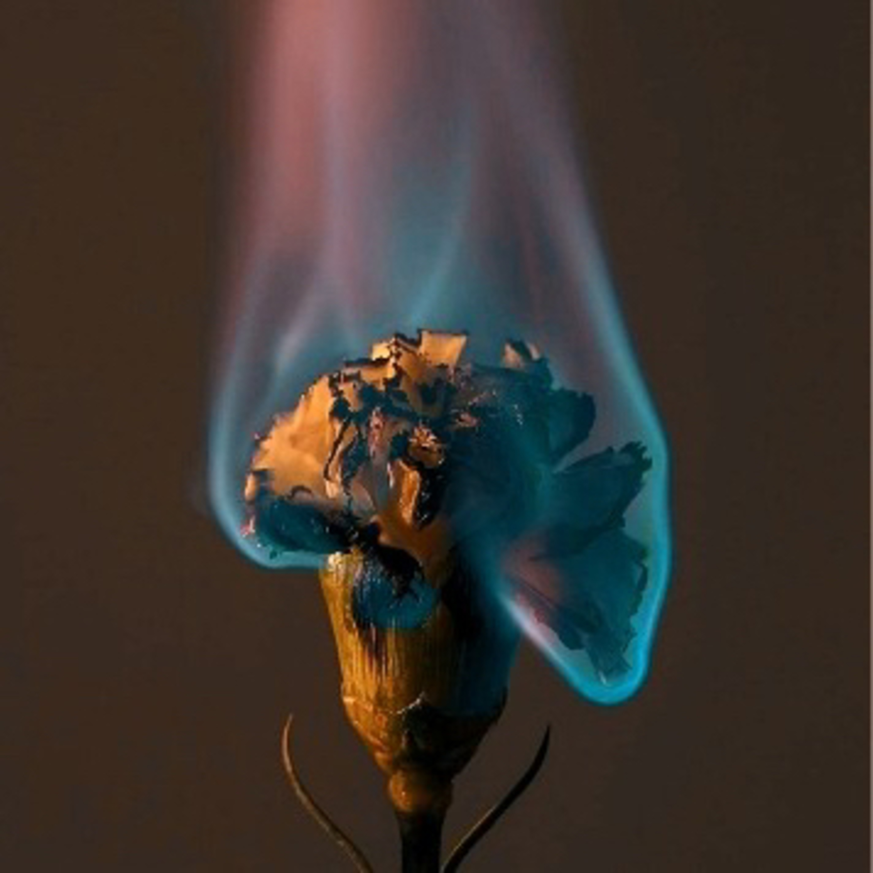 Guided Meditations with Kerry