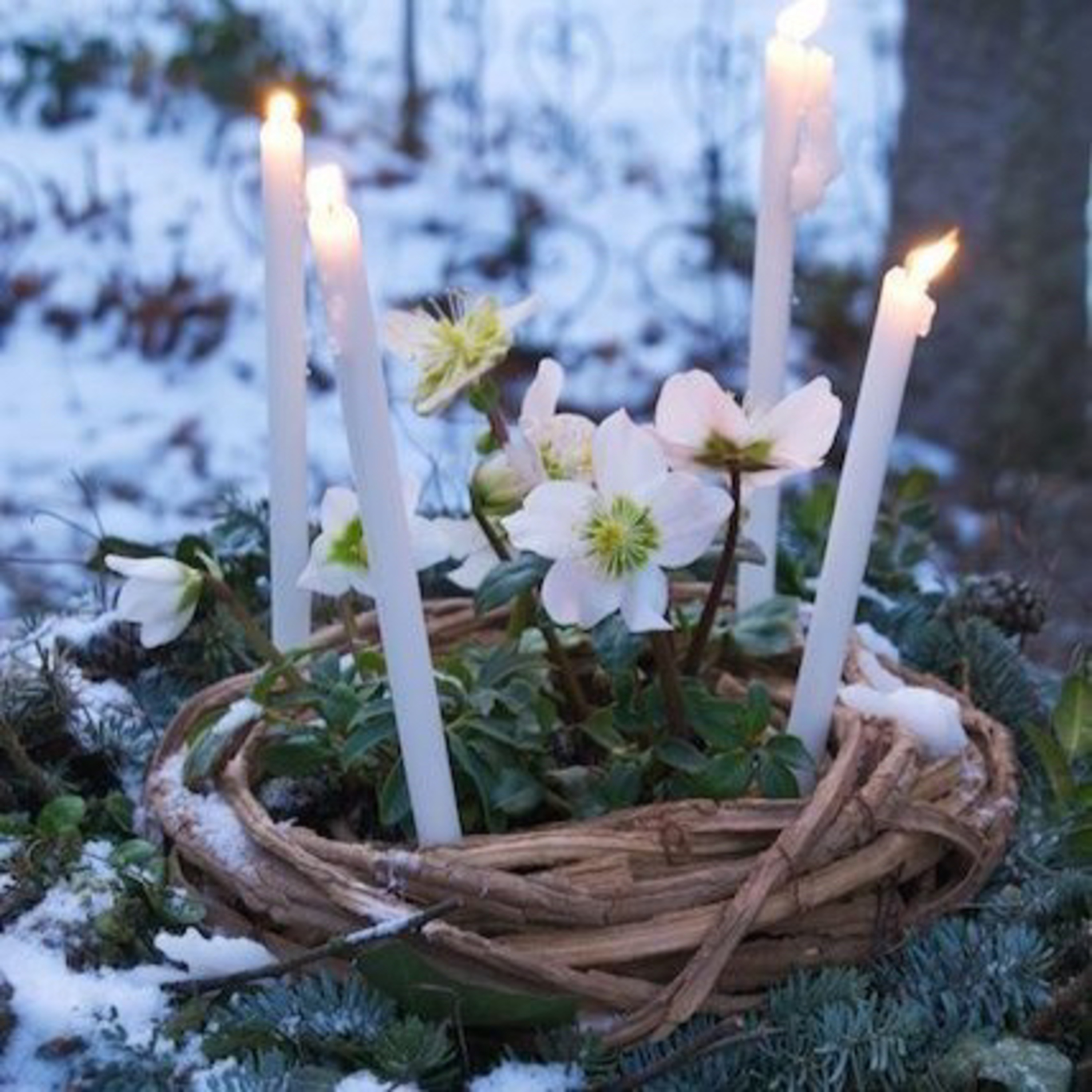 Guided Meditations with Kerry