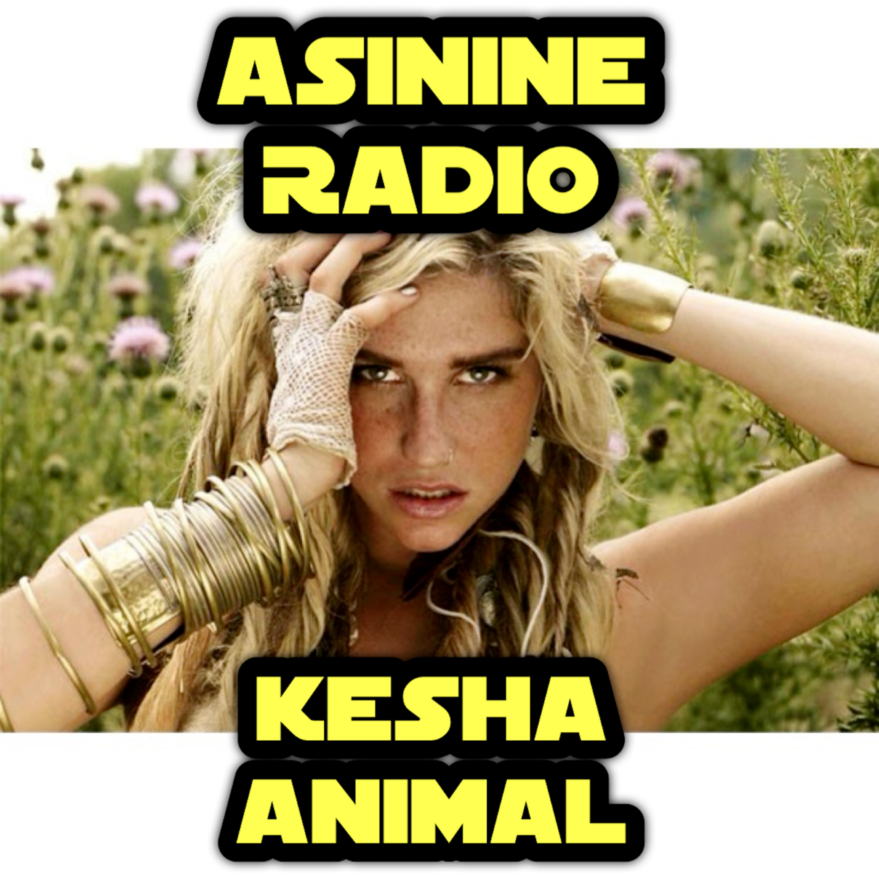 Kesha - Animal episode artwork