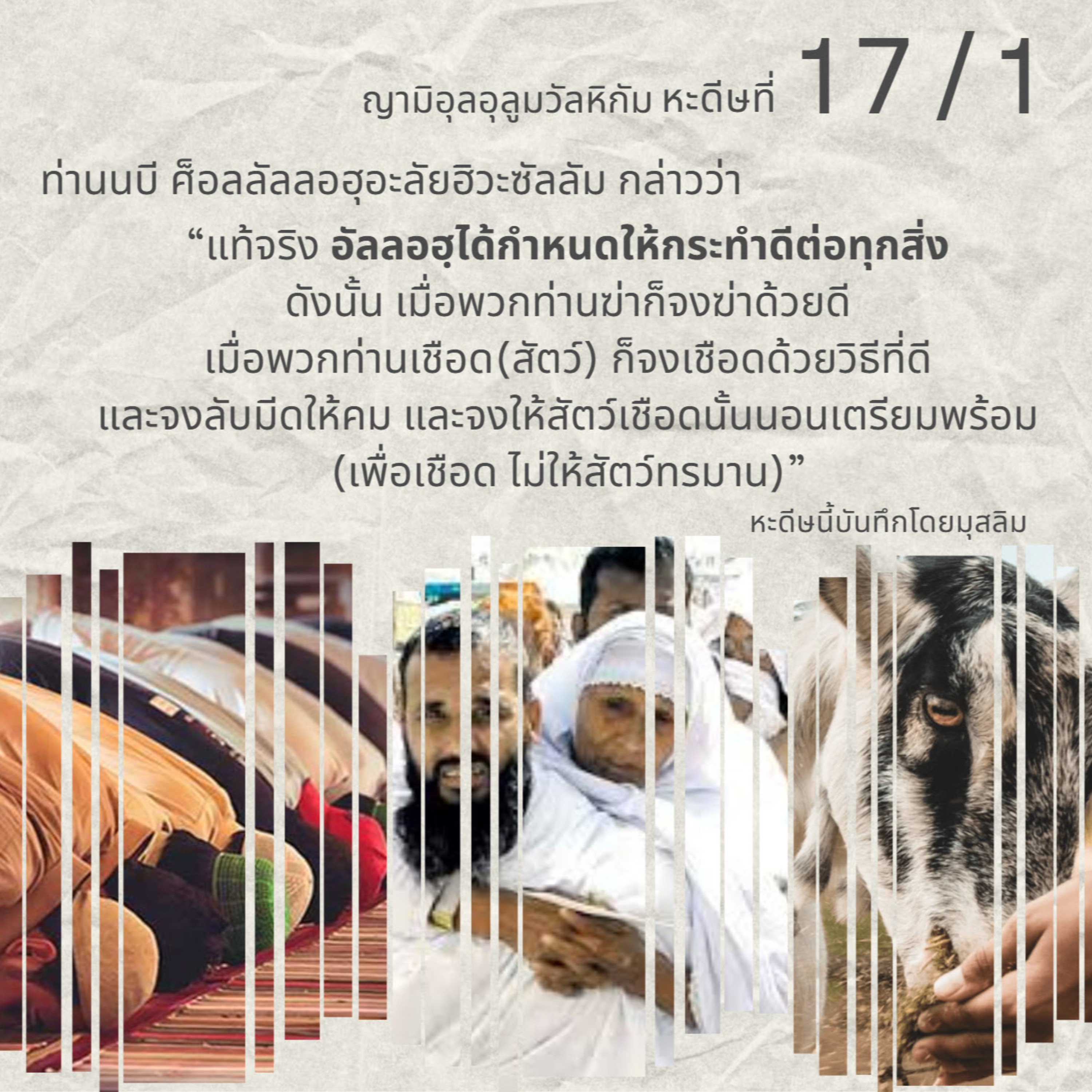 หะดีษ 17-1 อัลลอฮฺได้กำหนดให้กระทำดีต่อทุกสิ่ง (อิหฺซาน) episode artwork