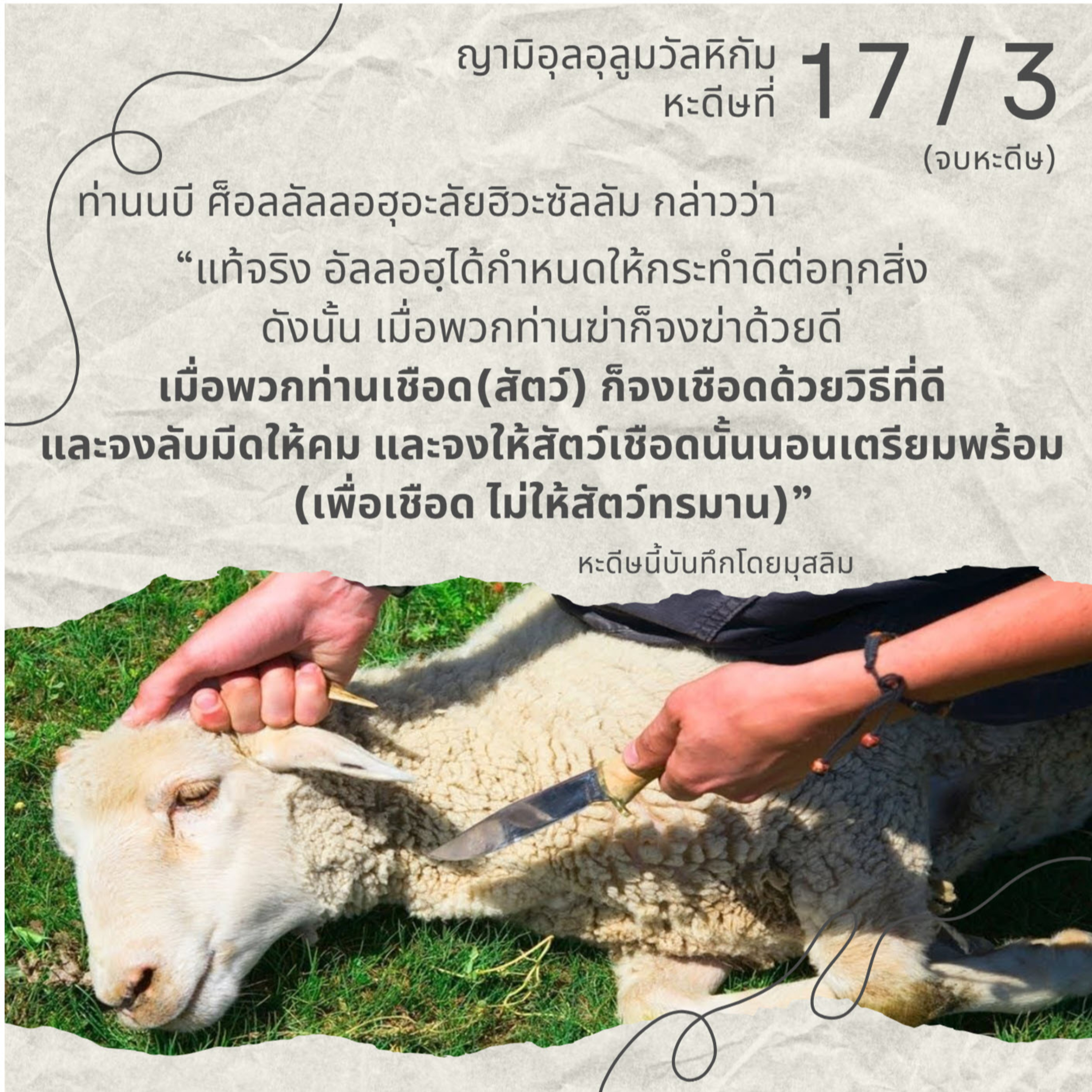 หะดีษ 17-3 จงเชือด(สัตว์)ด้วยวิธีที่ดี// episode artwork