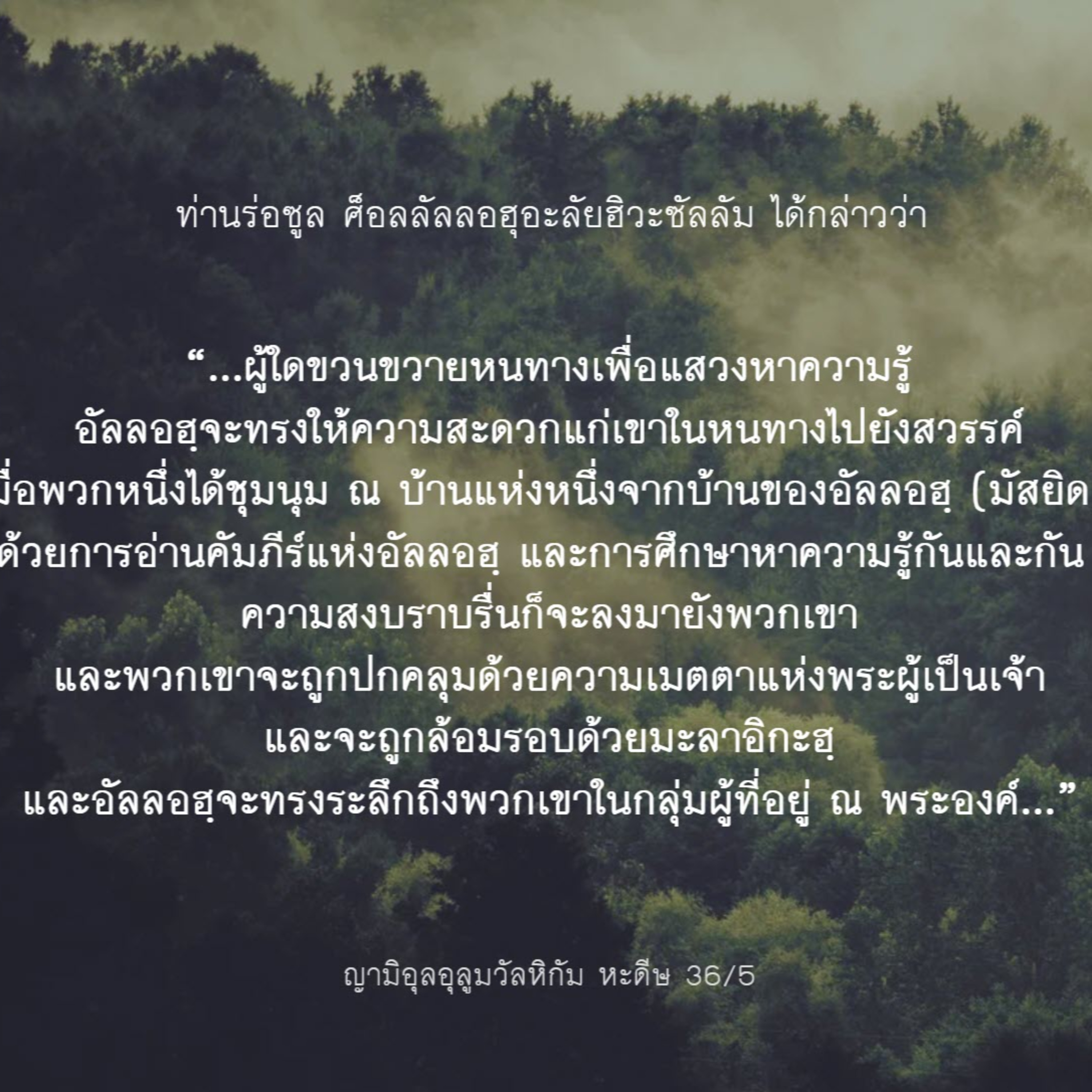 หะดีษ 36/5 การแสวงหาความรู้ ทางสู่สวรรค์ episode artwork