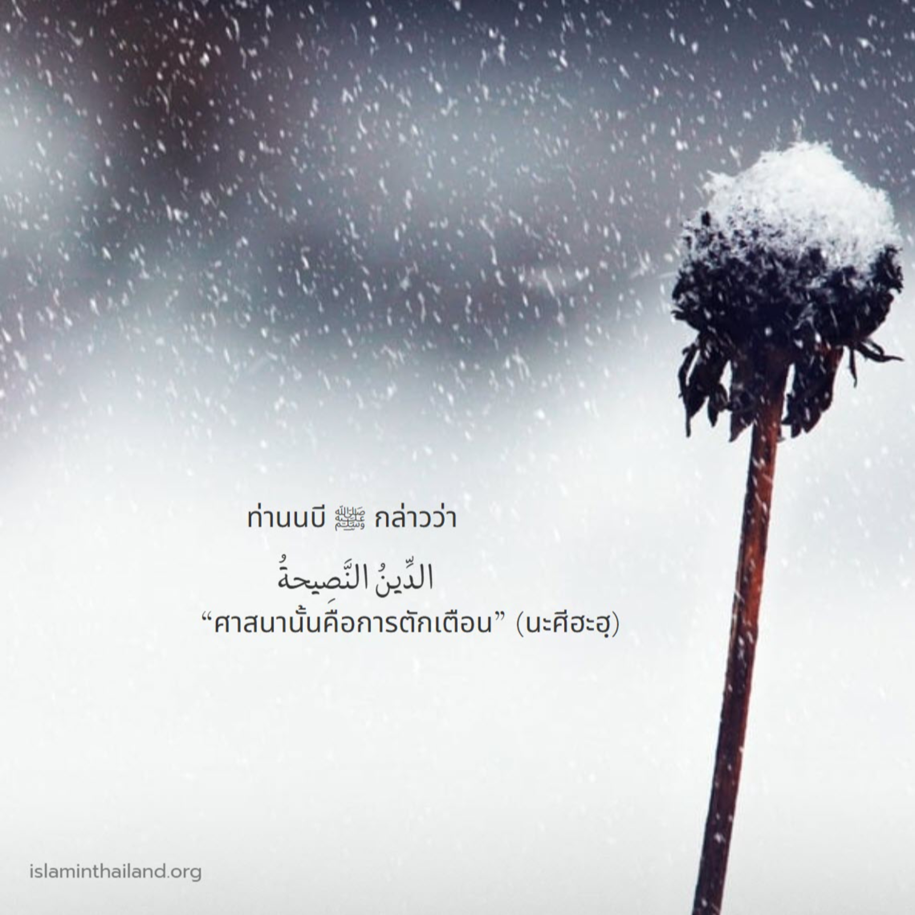 ศาสนาคือการตักเตือน (สู่อีมานที่มั่นคง 51)