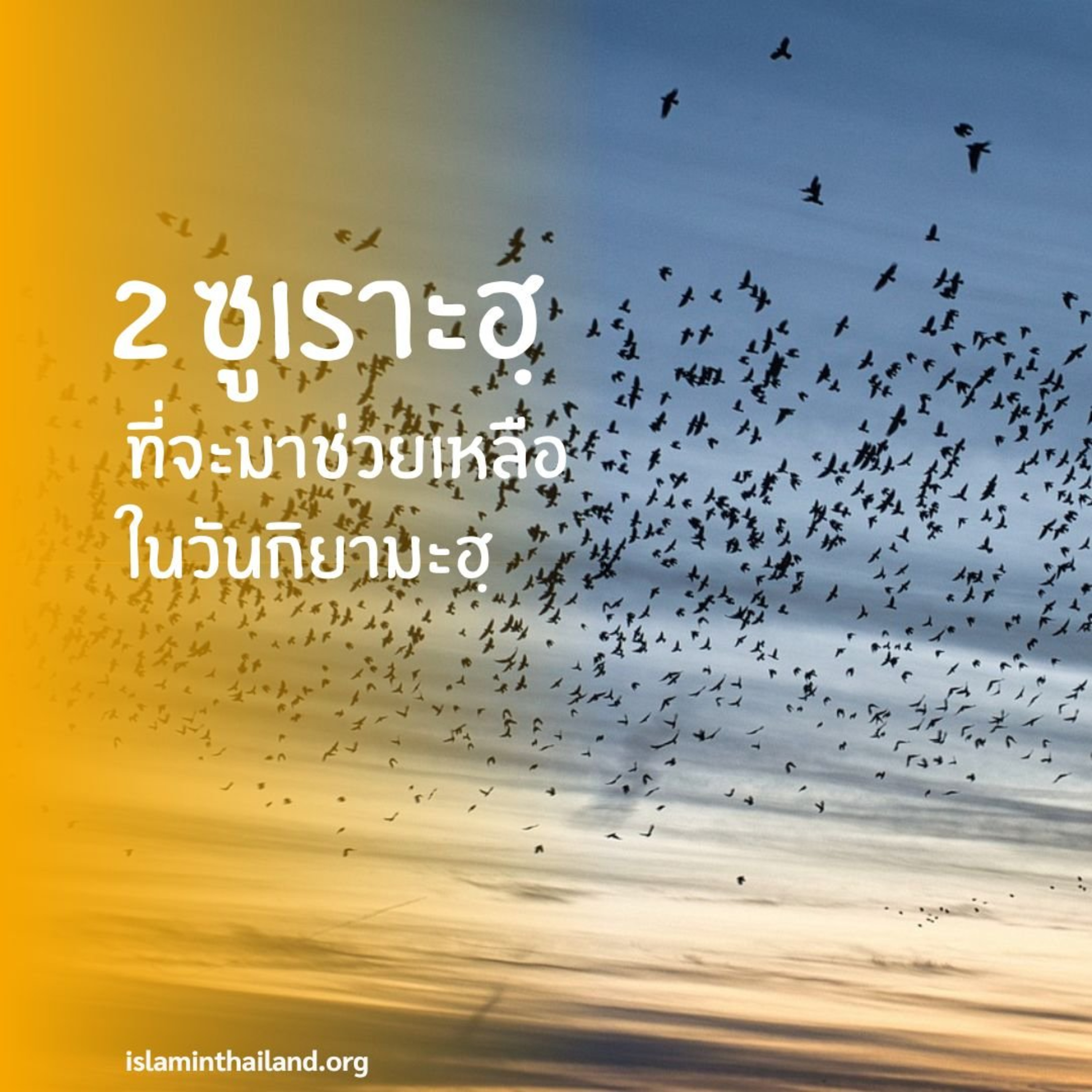 ความประเสริฐของบะเกาะเราะฮและอาลิอิมรอน episode artwork