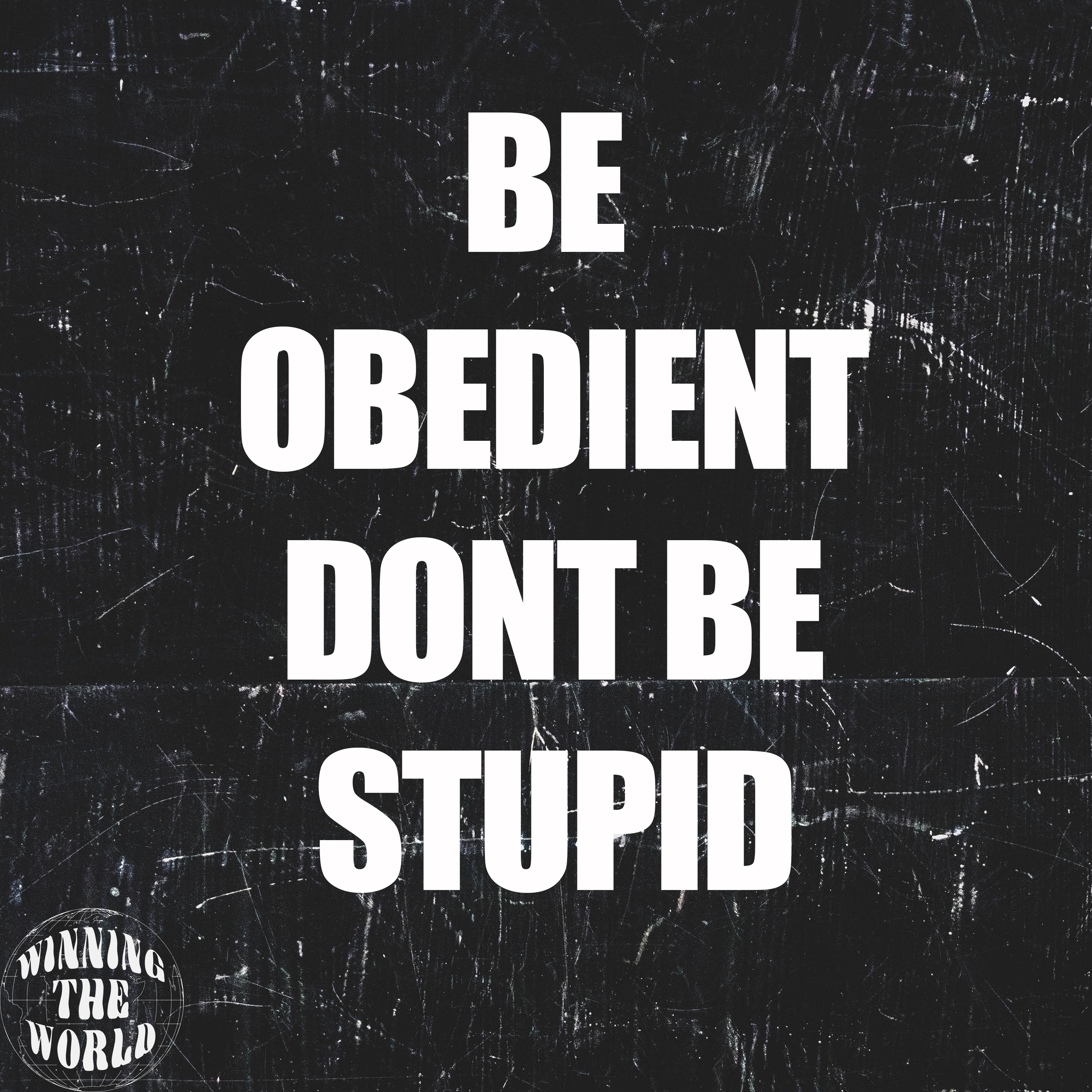 Be Obedient Don't Be Stupid #9 episode artwork