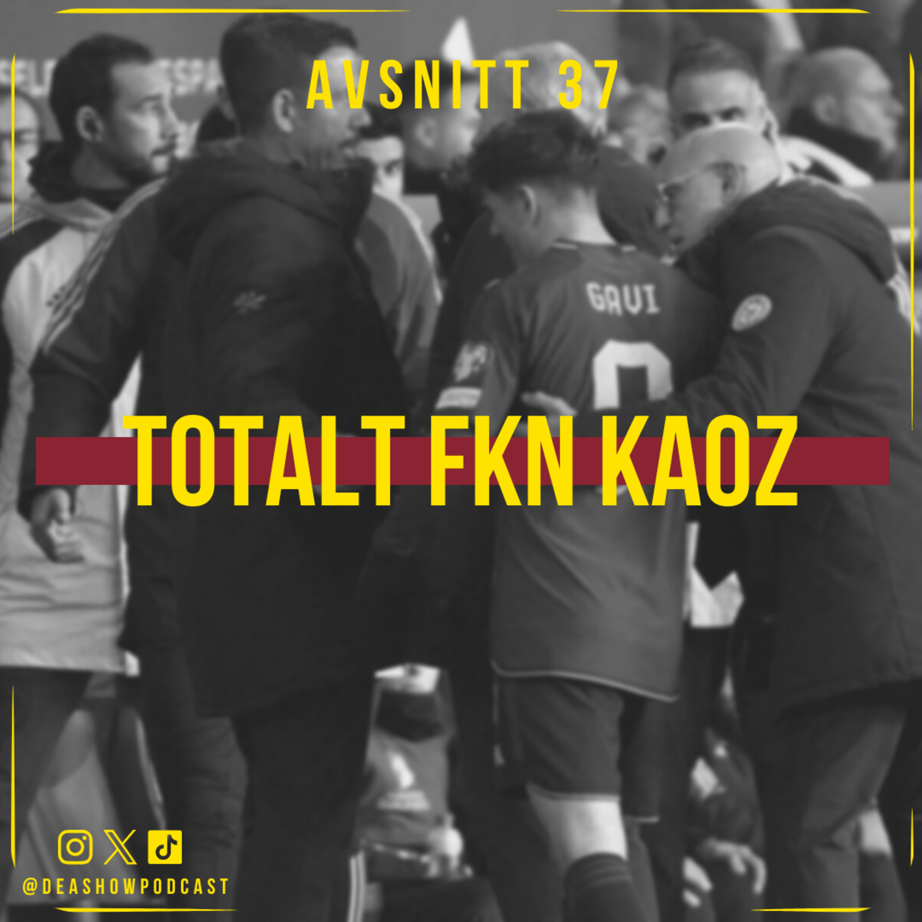 37. Totalt FKN Kaoz  episode artwork