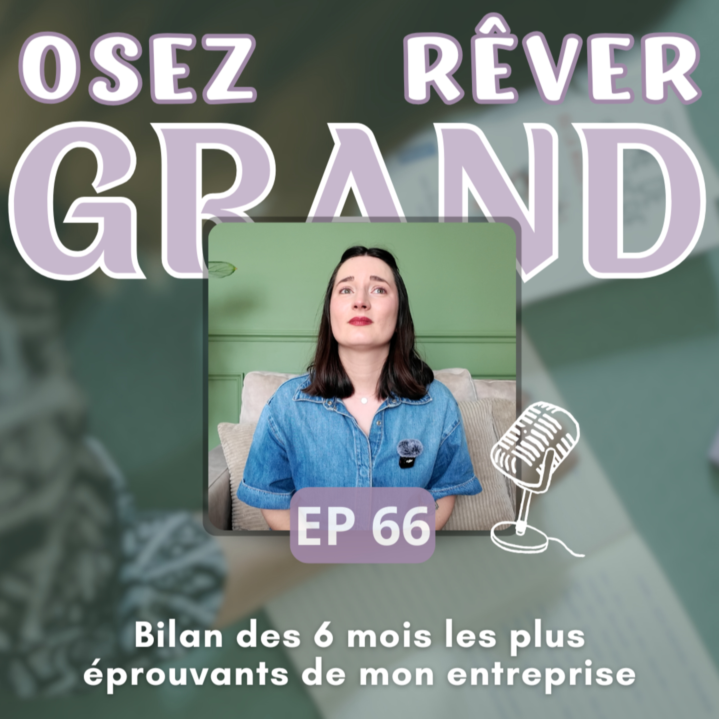 66. Bilan des 6 mois les plus éprouvants de mon entreprise episode artwork