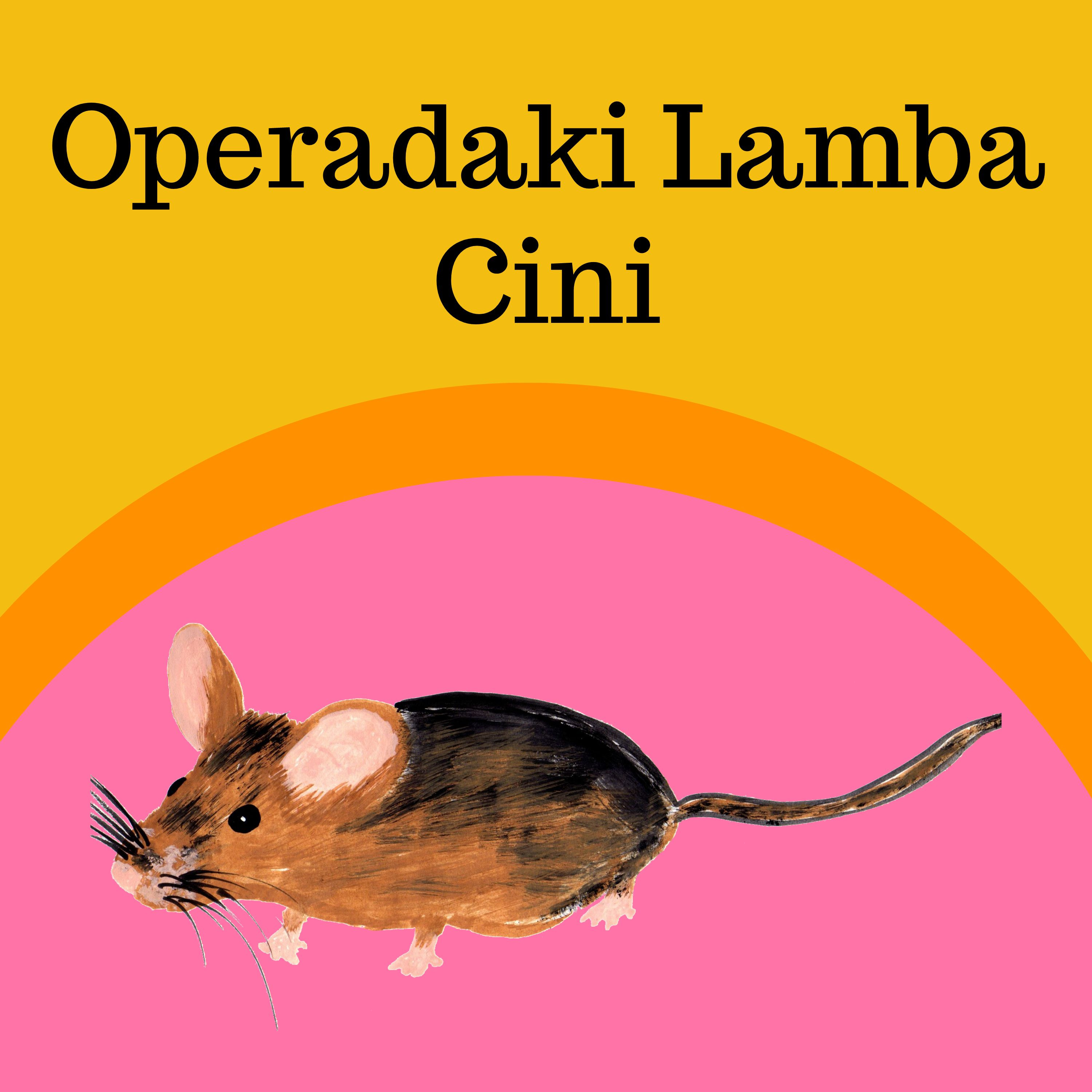 Operadaki Lamba Cini
