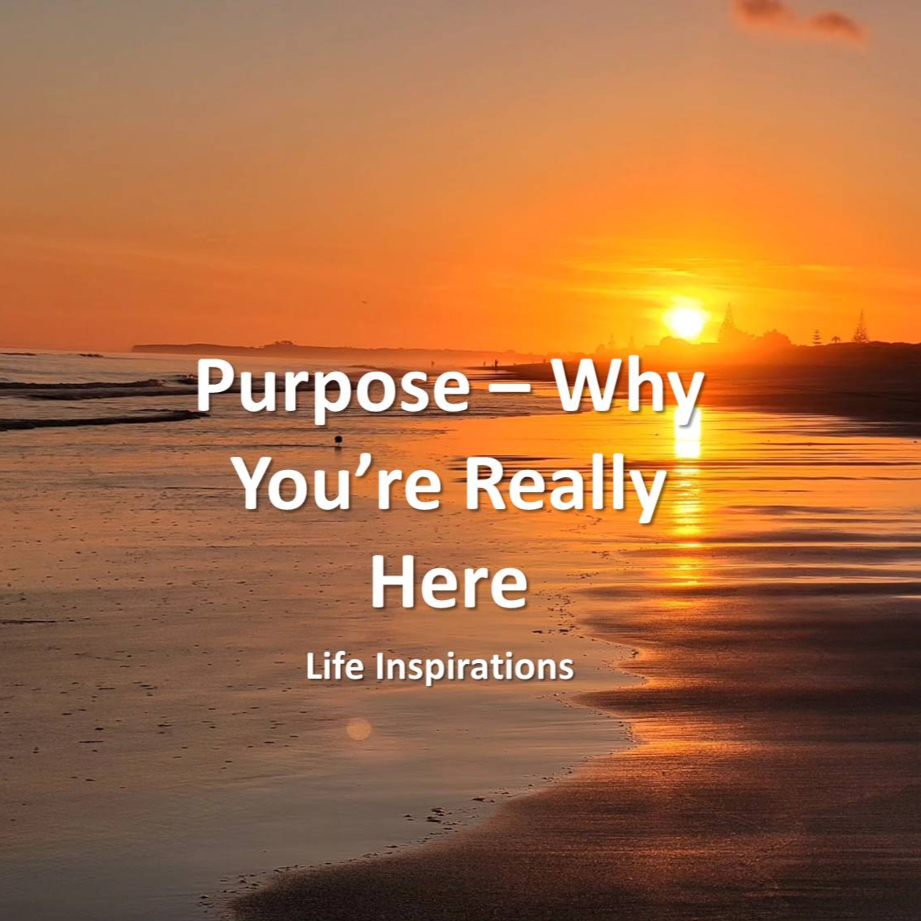 Purpose - Why You're Really Here episode artwork