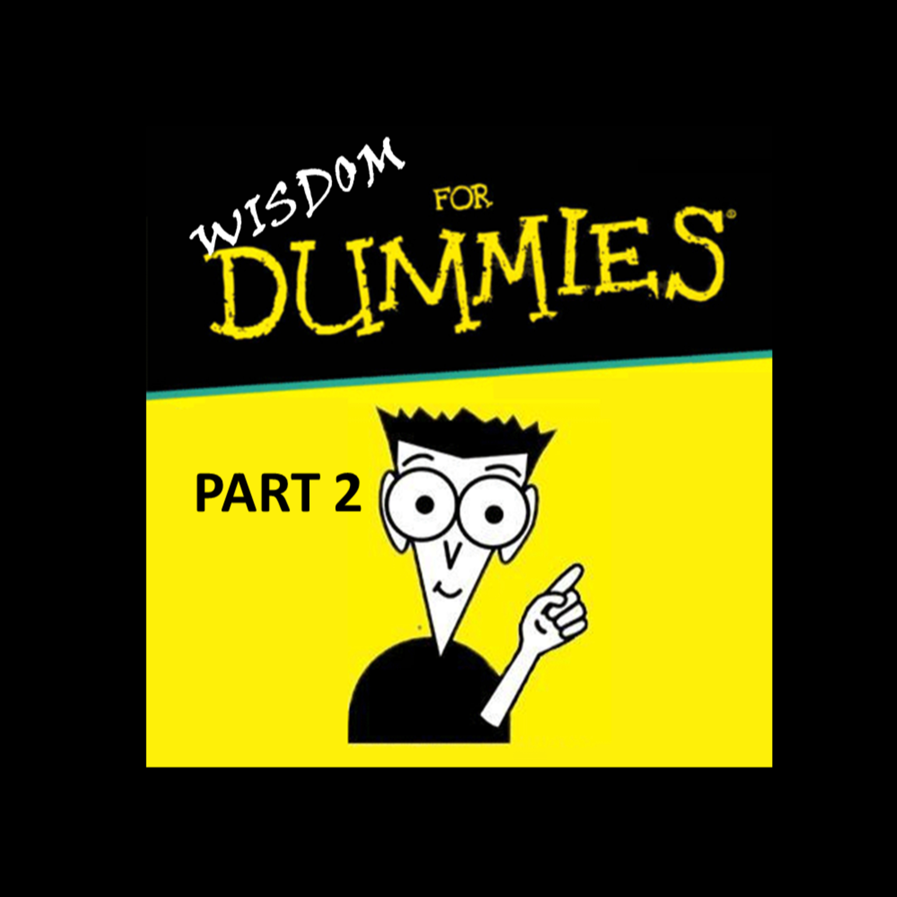 Part 2 Wisdom For Dummies  episode artwork