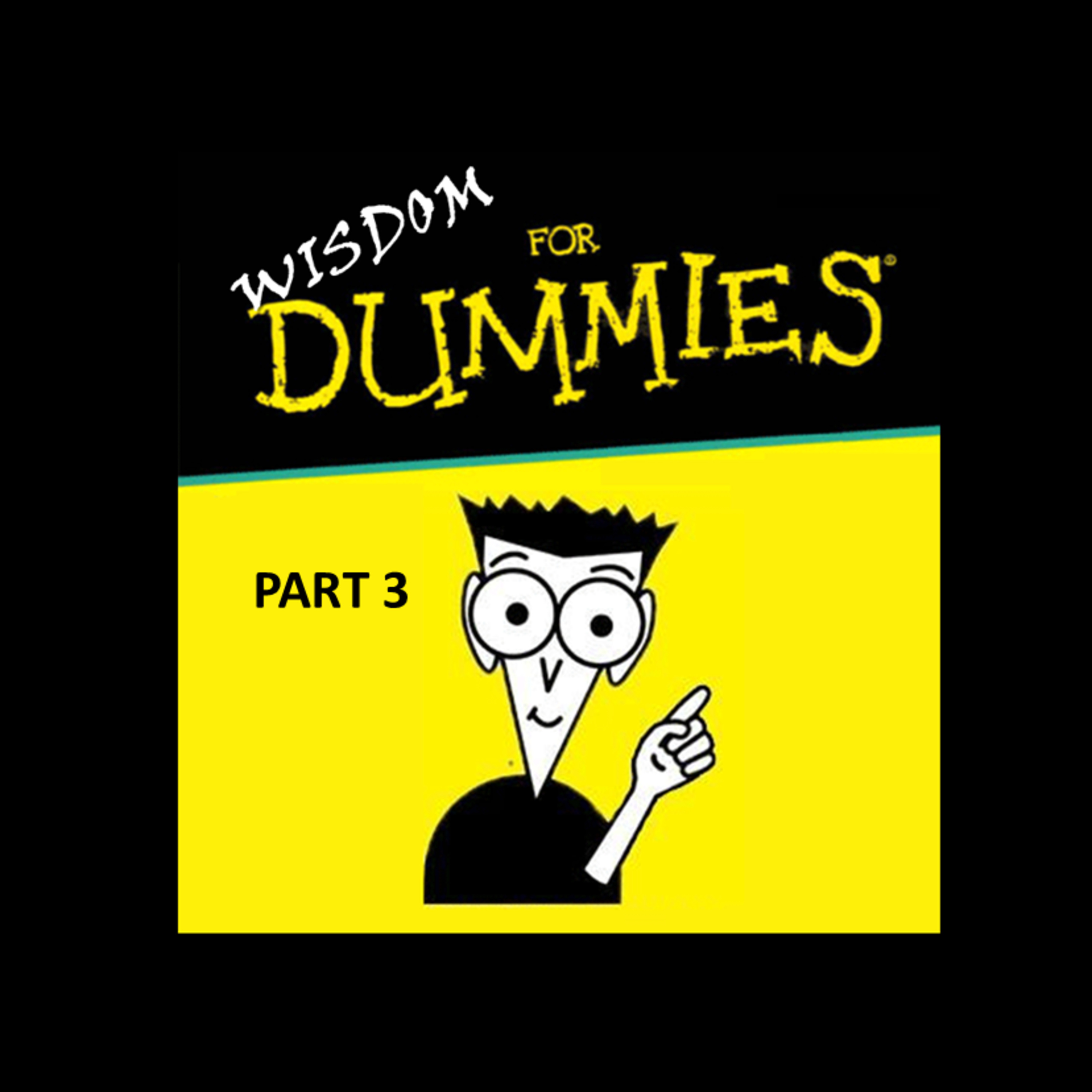 Wisdom For Dummies Part 3 episode artwork