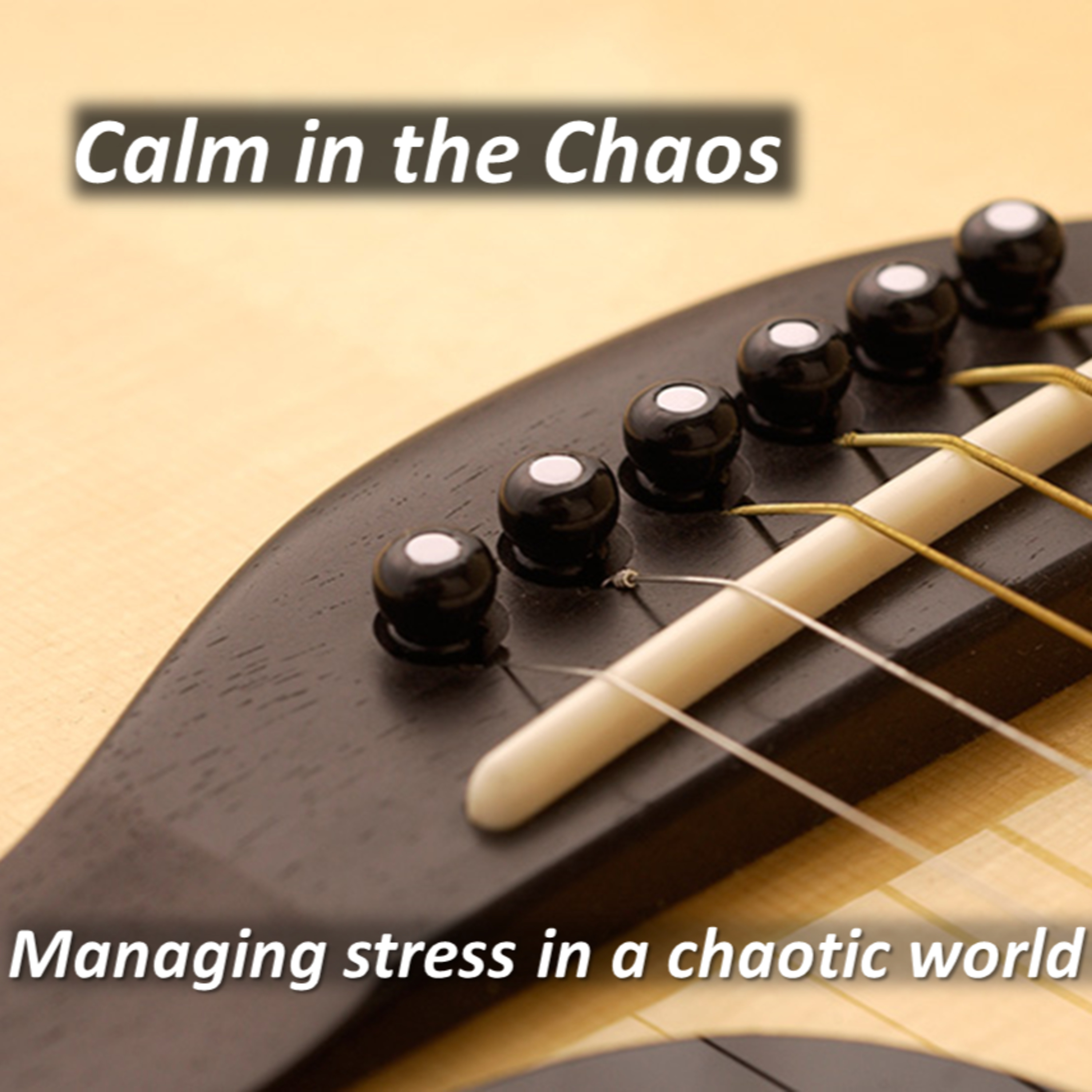Calm In The Chaos episode artwork
