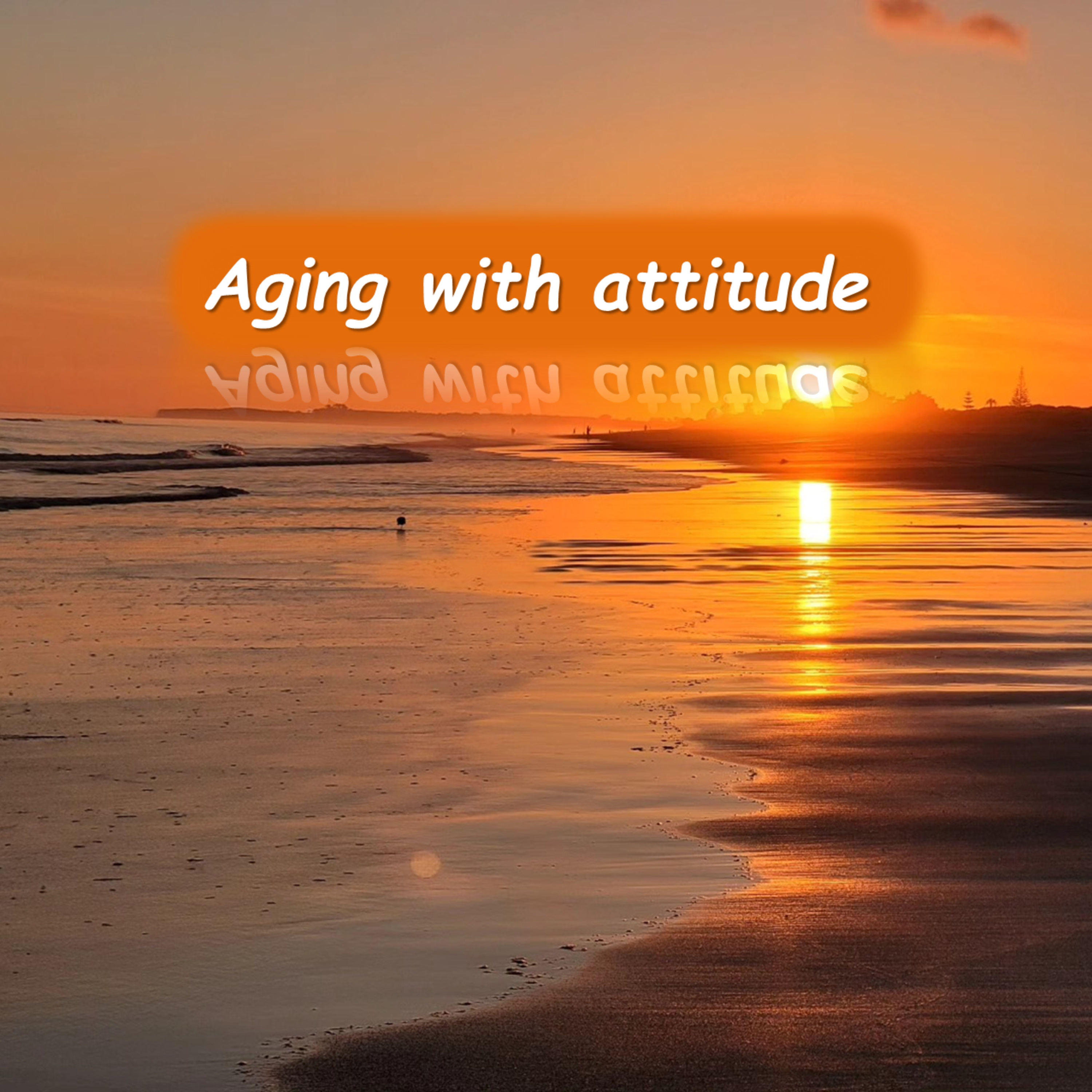 Aging With Attitude episode artwork