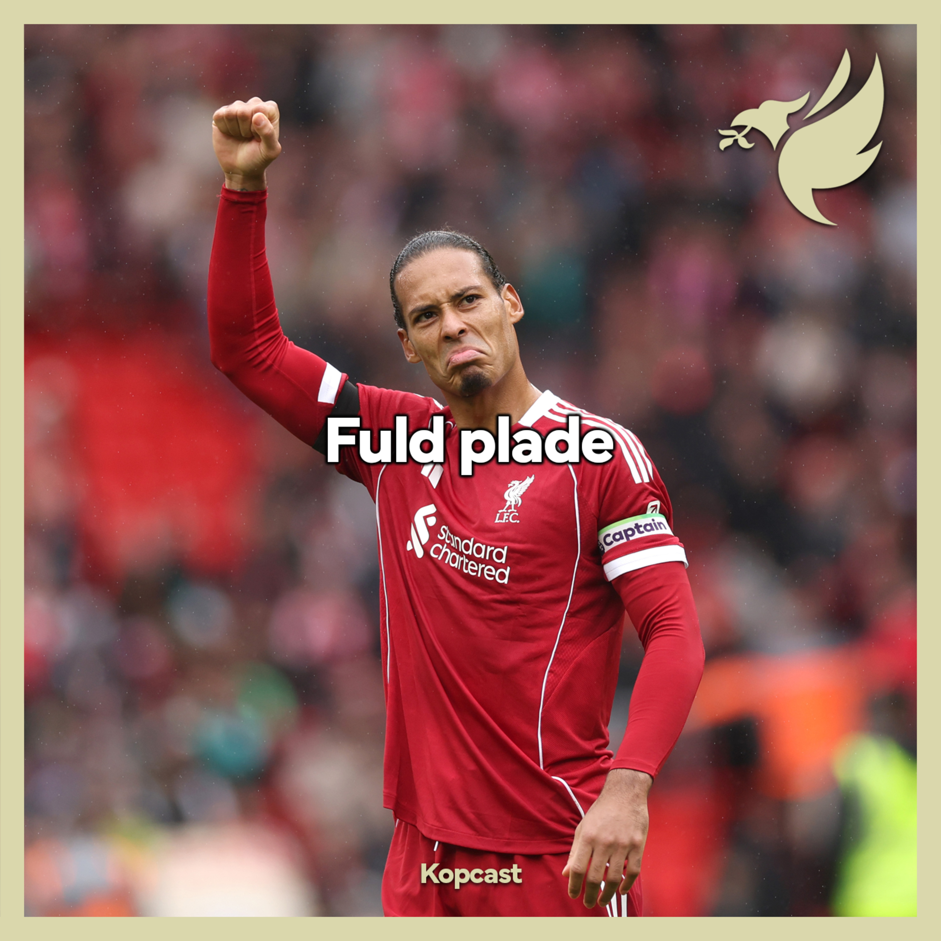 Fuld plade
