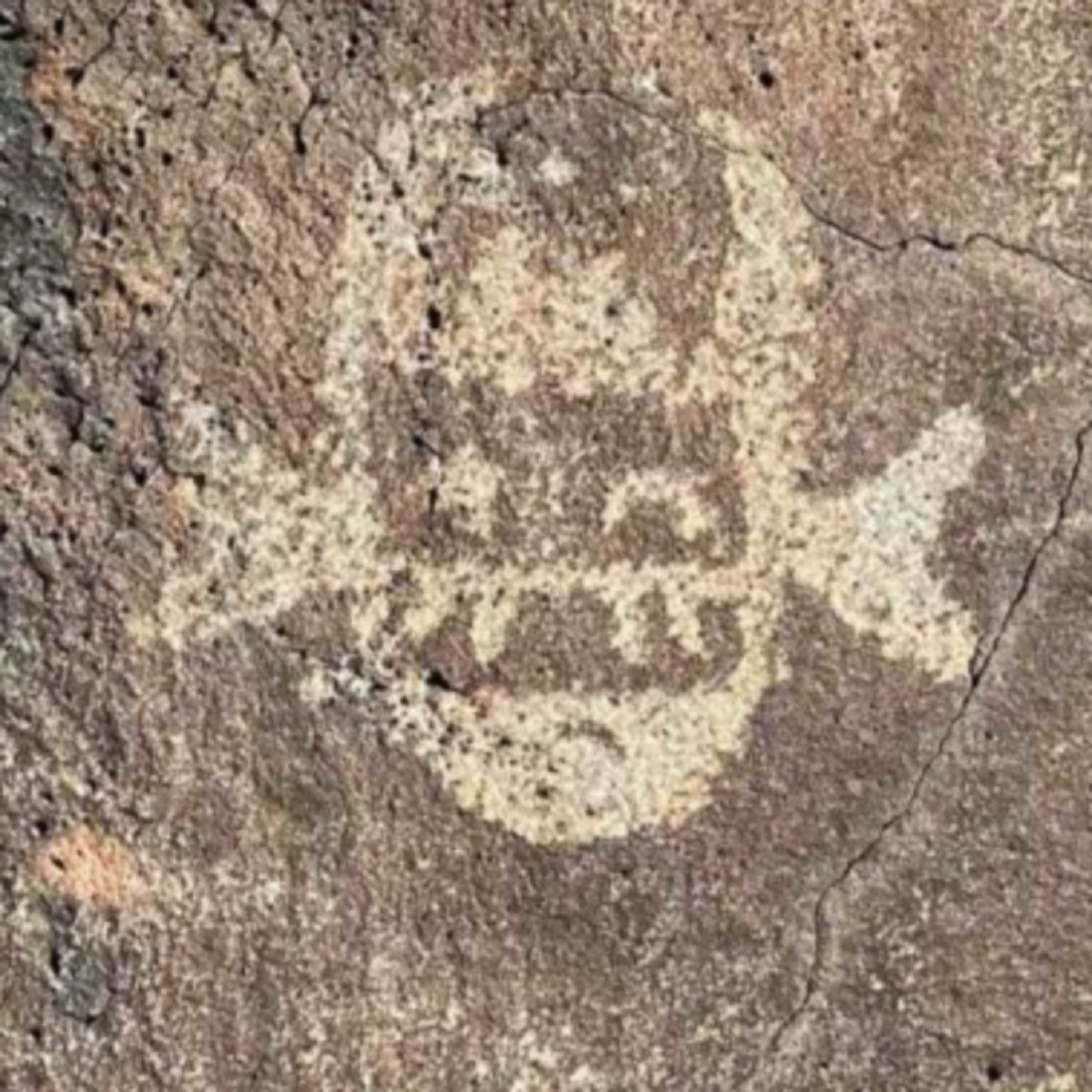 The Epstein Petroglyph Files