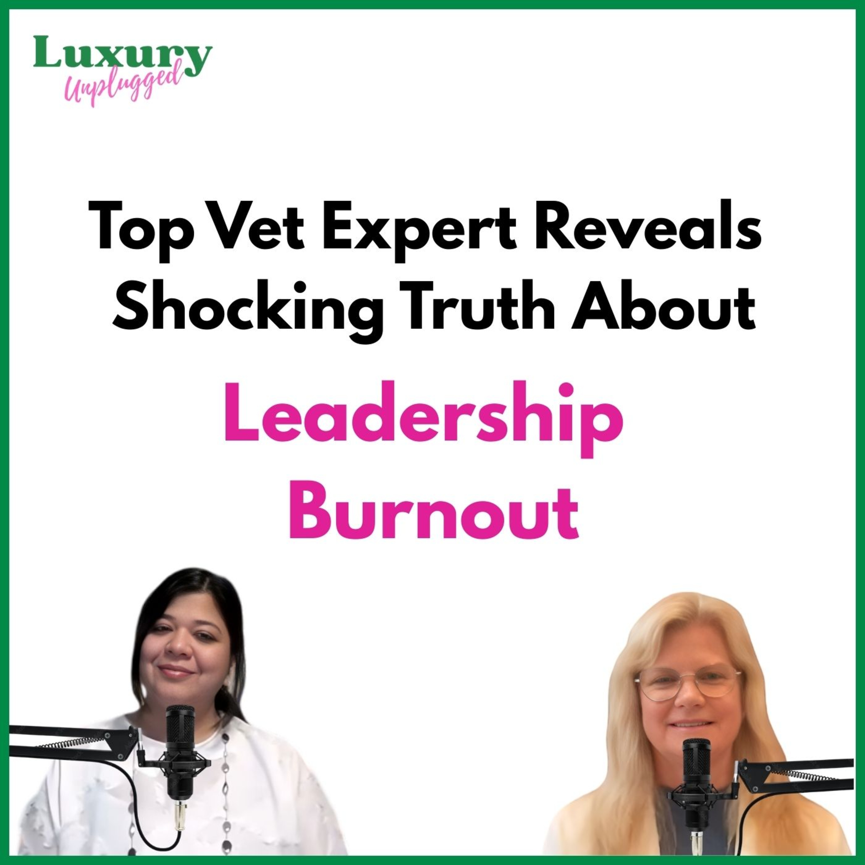  A Vet's Perspective on Burnout & Mental Health | Practical Tips on How to Deal with Vet Burnout episode artwork