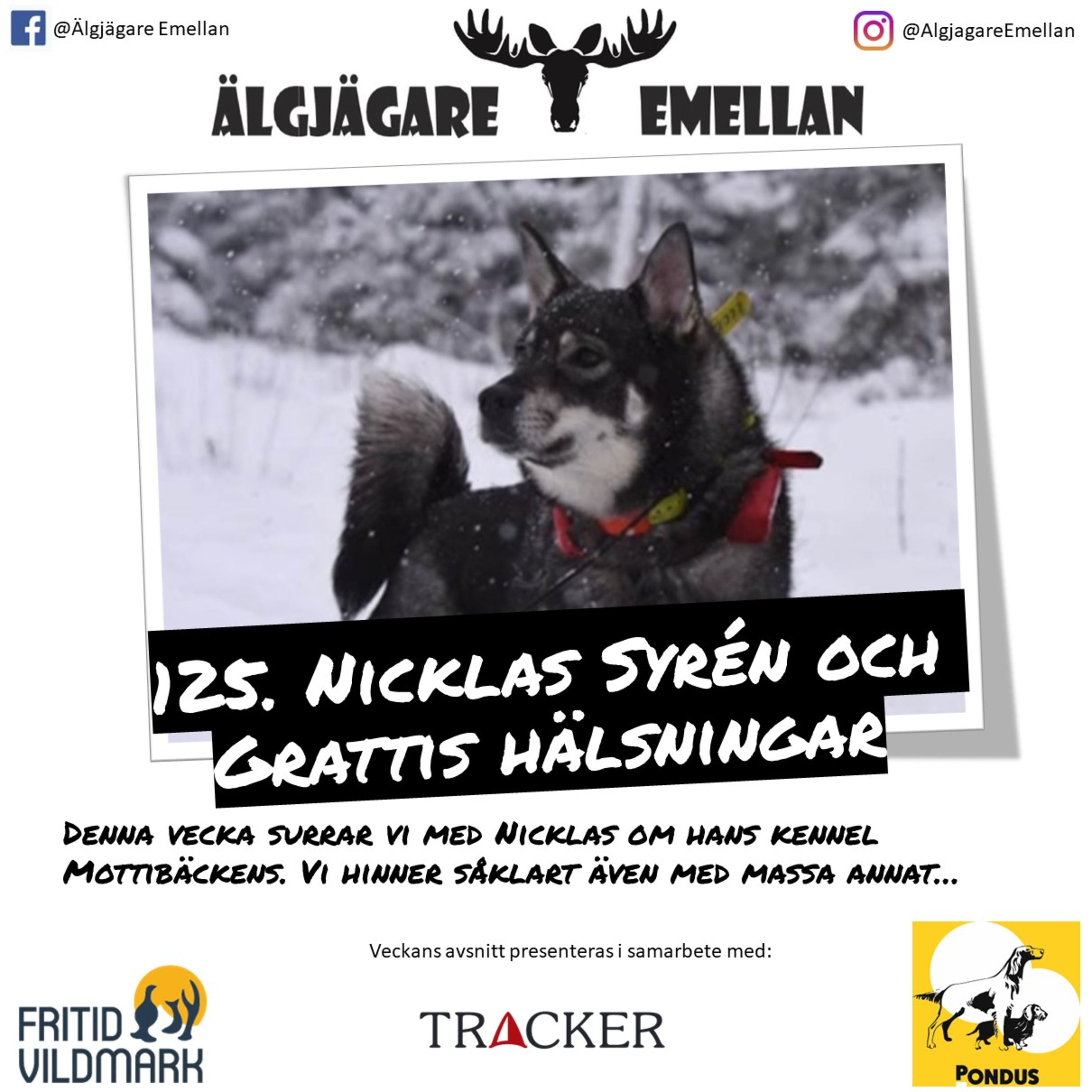 125. Nicklas Syrén och Grattis hälsningar episode artwork