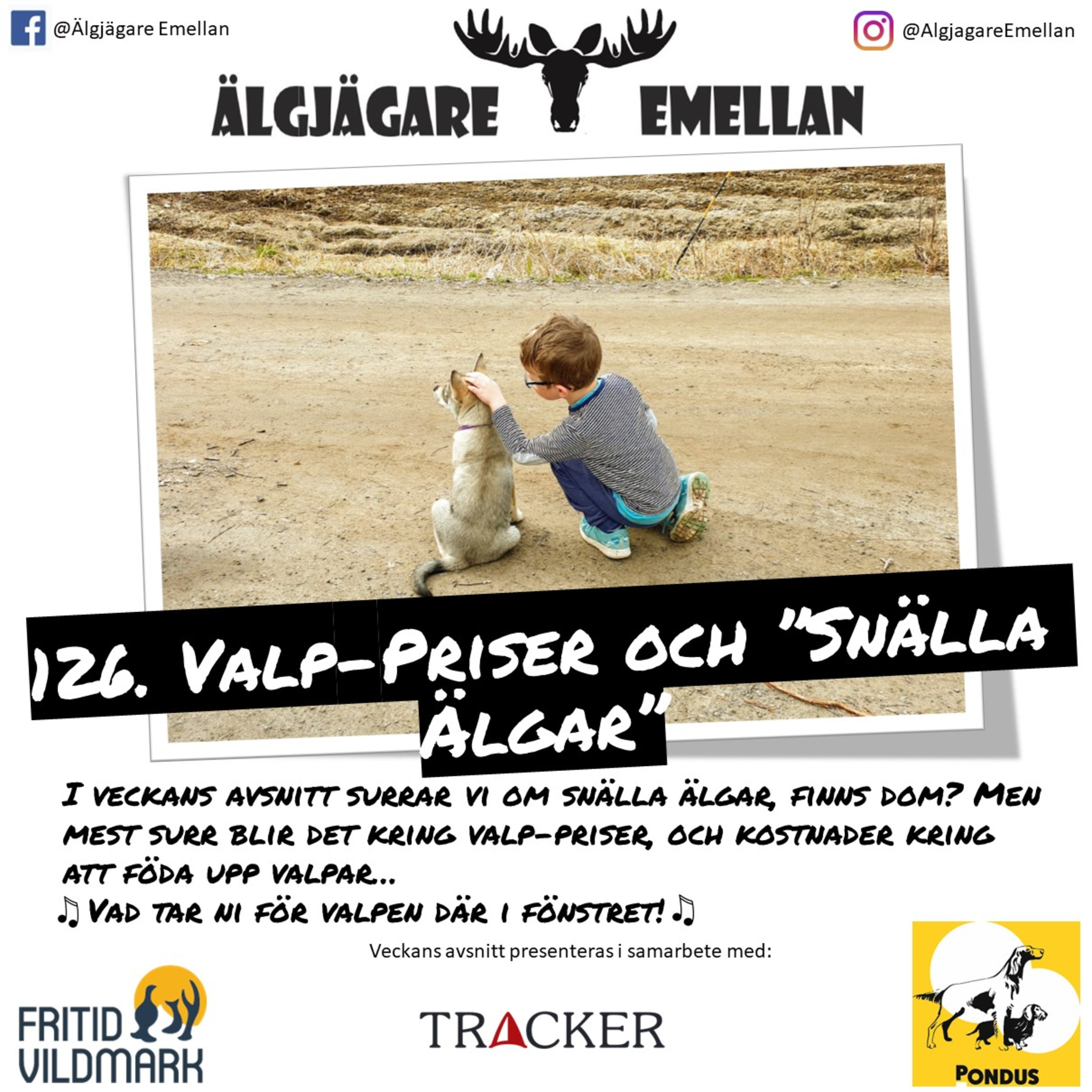 126. Valp-Priser och ”Snälla Älgar” episode artwork