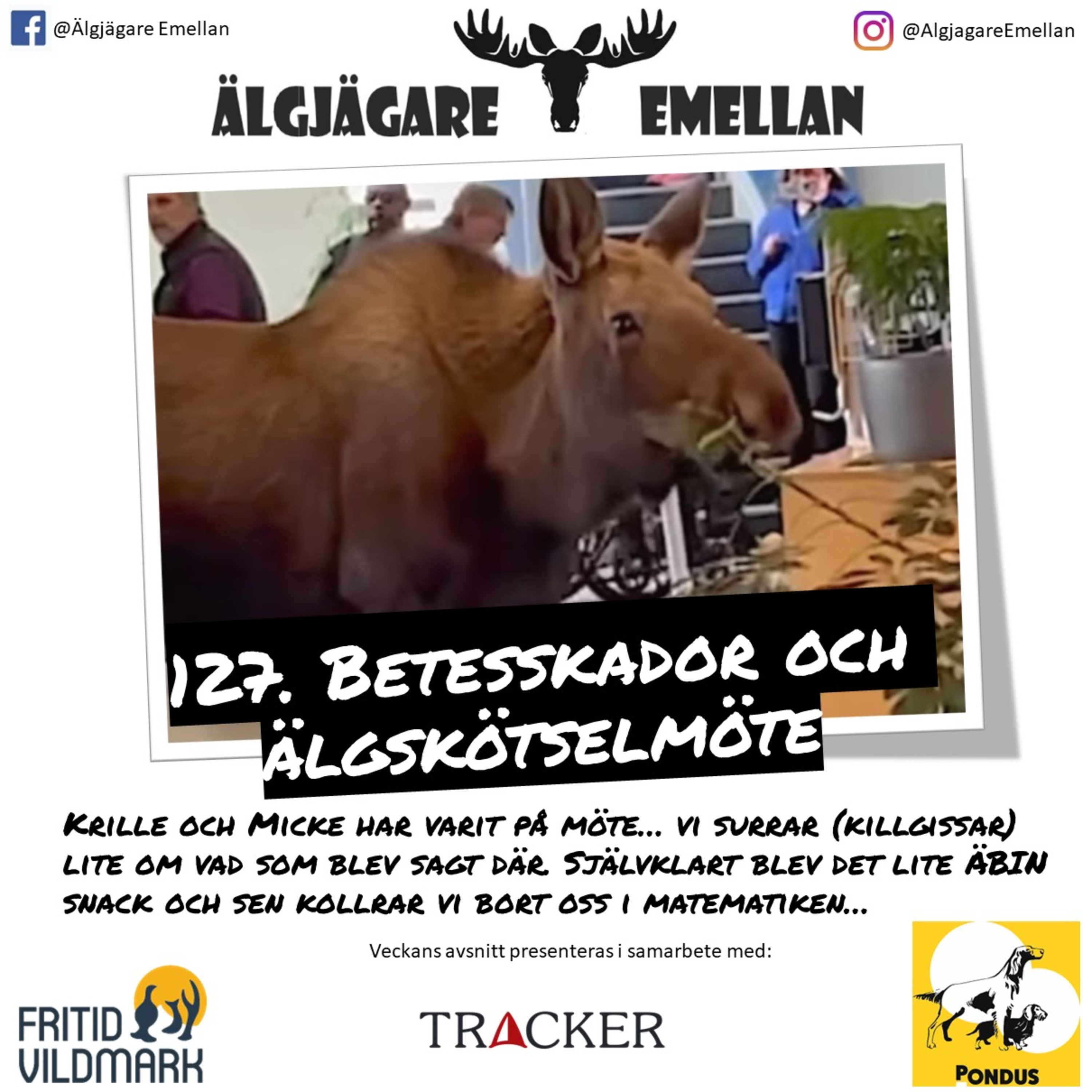 127. Betesskador & Älgskötselmöte  episode artwork