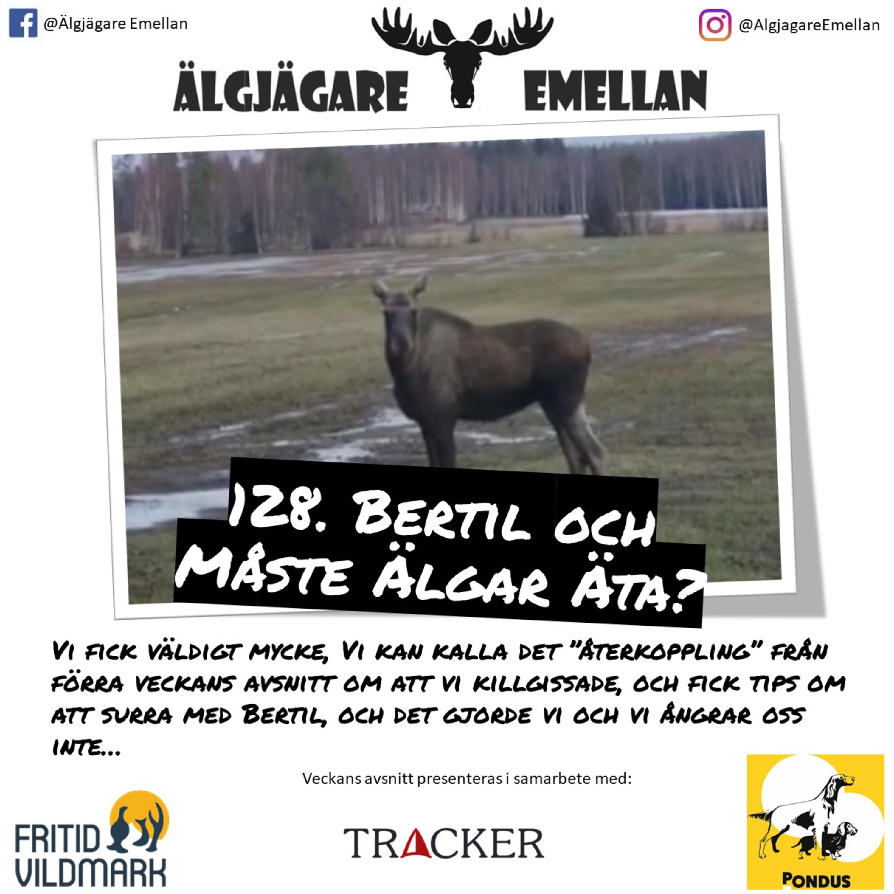 128. Bertil & Måste Älgar Äta? episode artwork