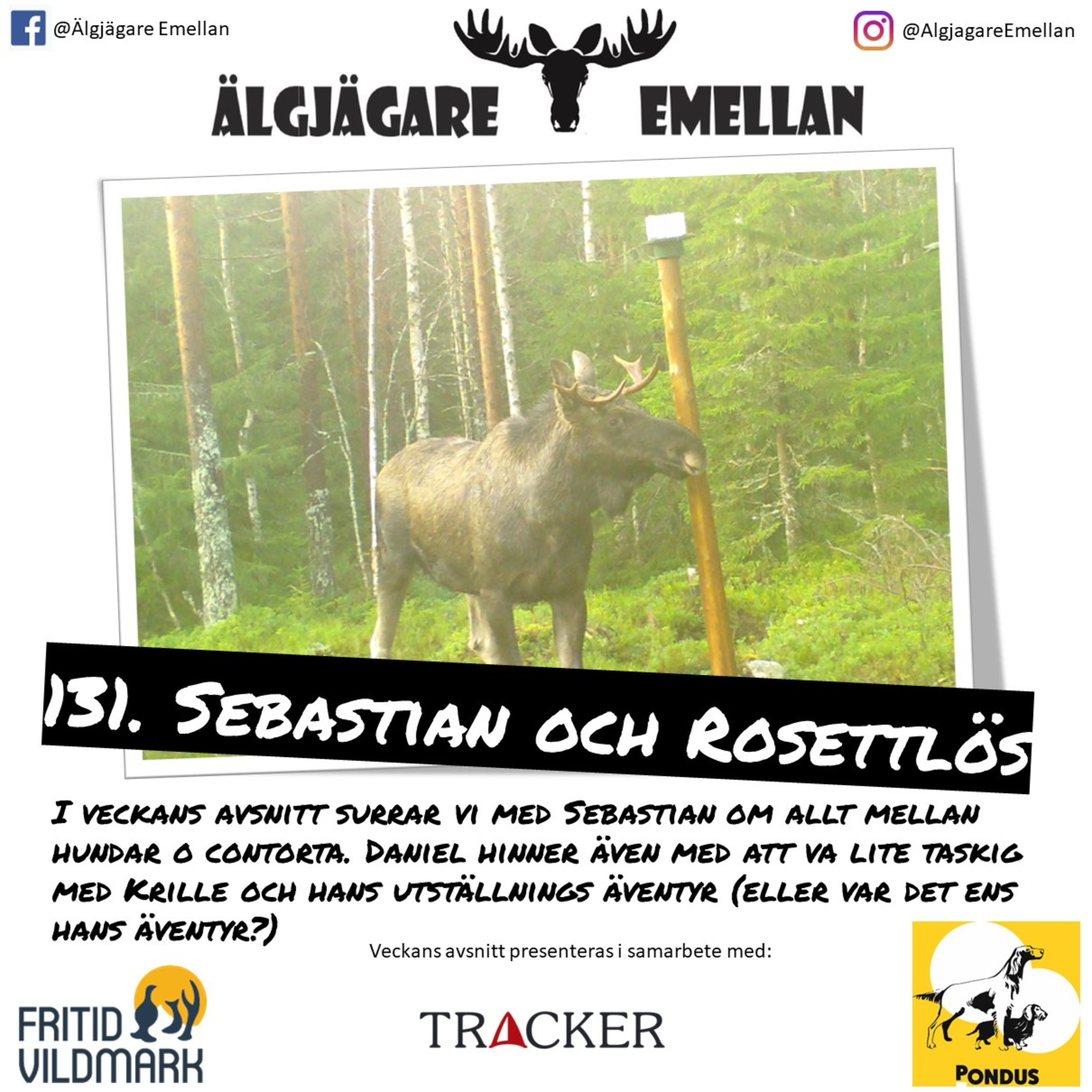 131. Sebastian & Rosettlös