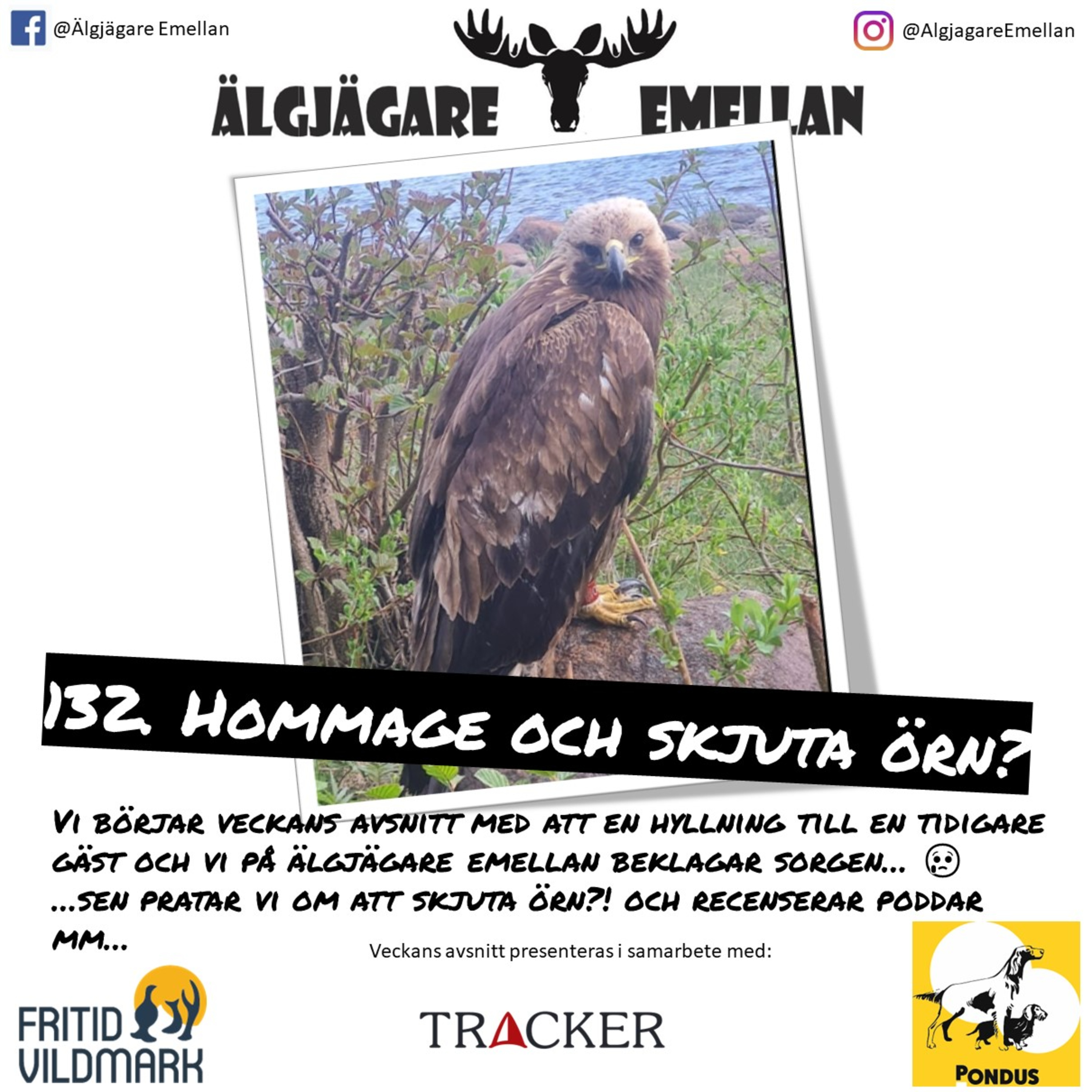 132. Hommage & skjuta örn?  episode artwork