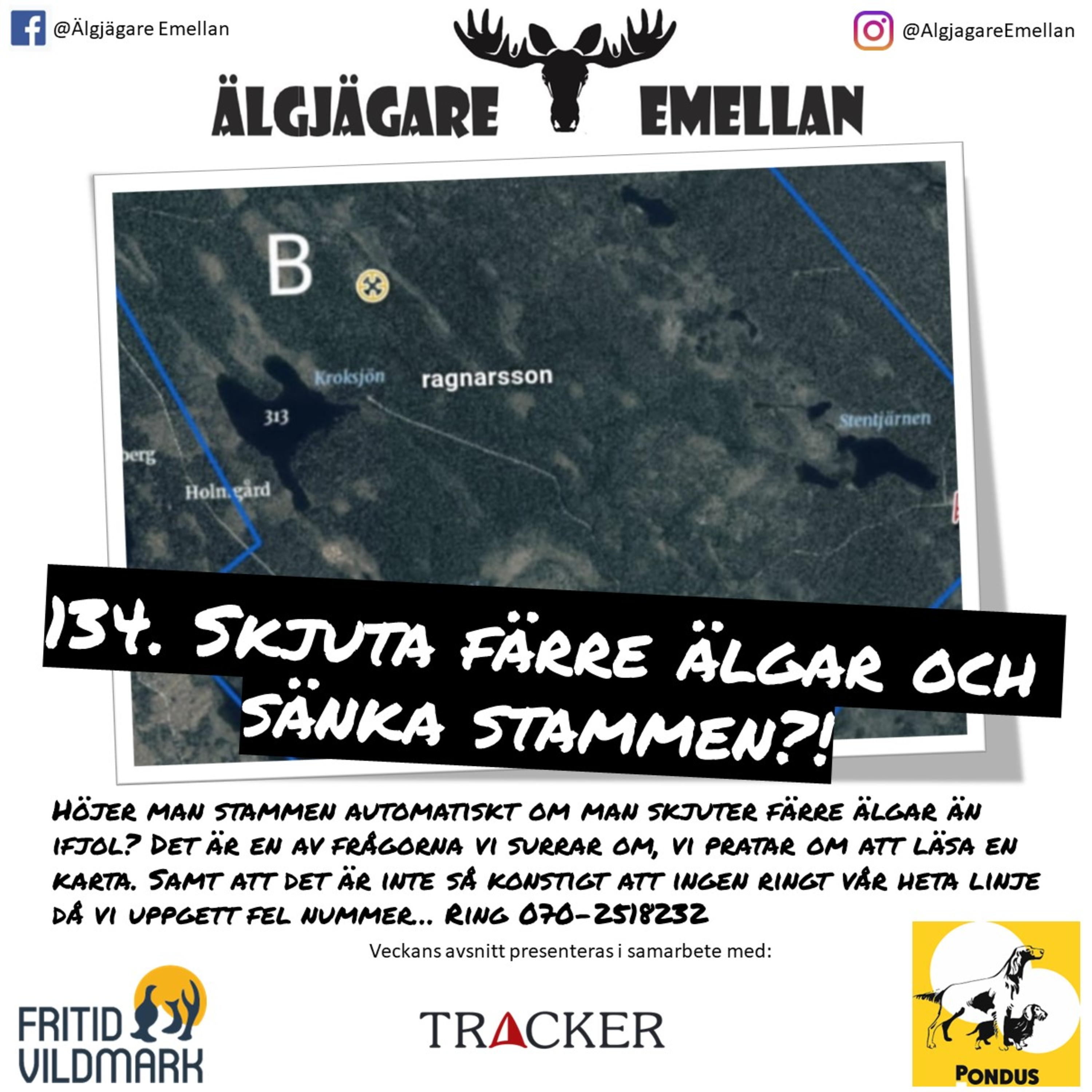 134. Skjuta färre älgar & sänka stammen?! episode artwork