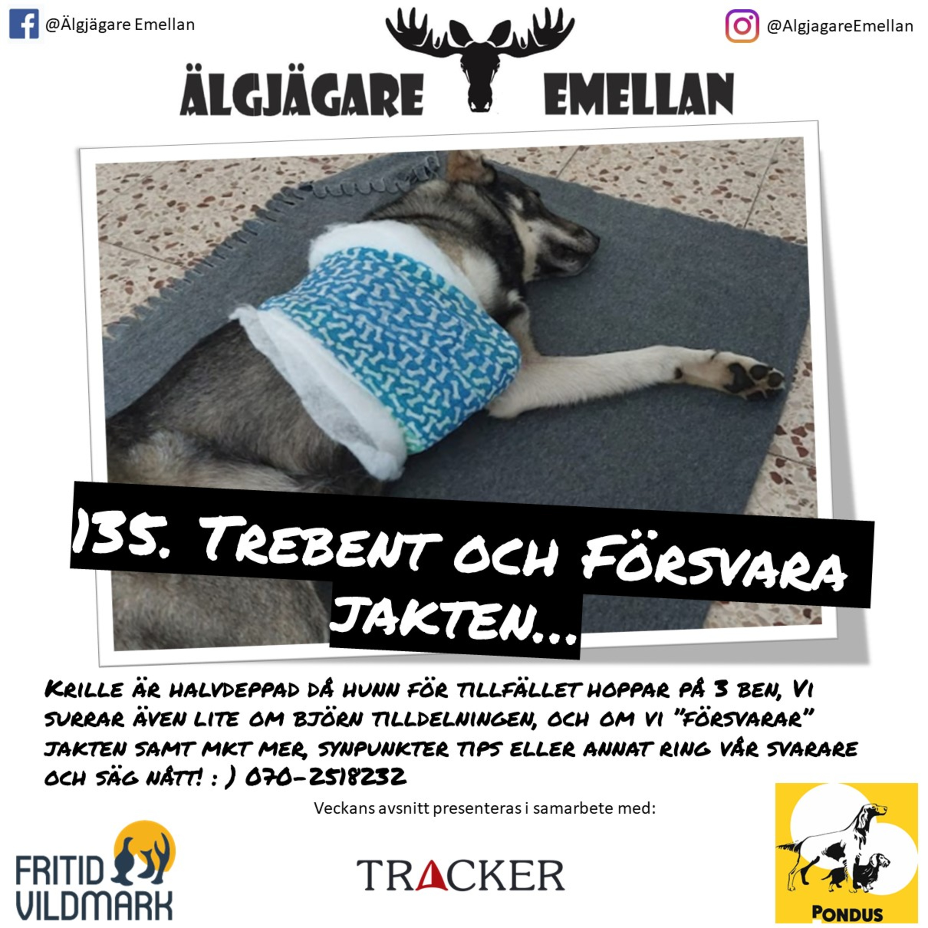 Älgjägare emellan
