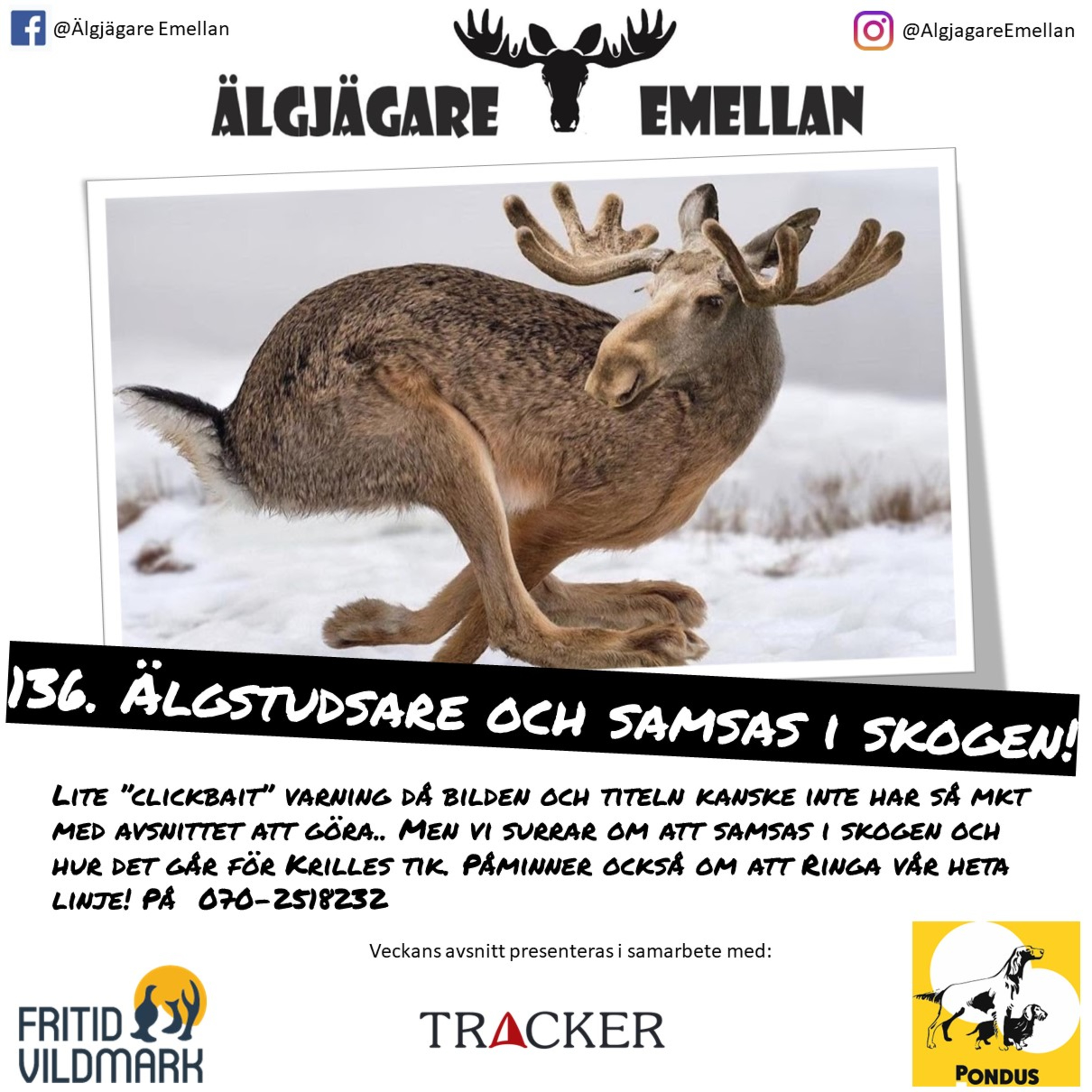 136. Älgstudsare & samsas i skogen! episode artwork