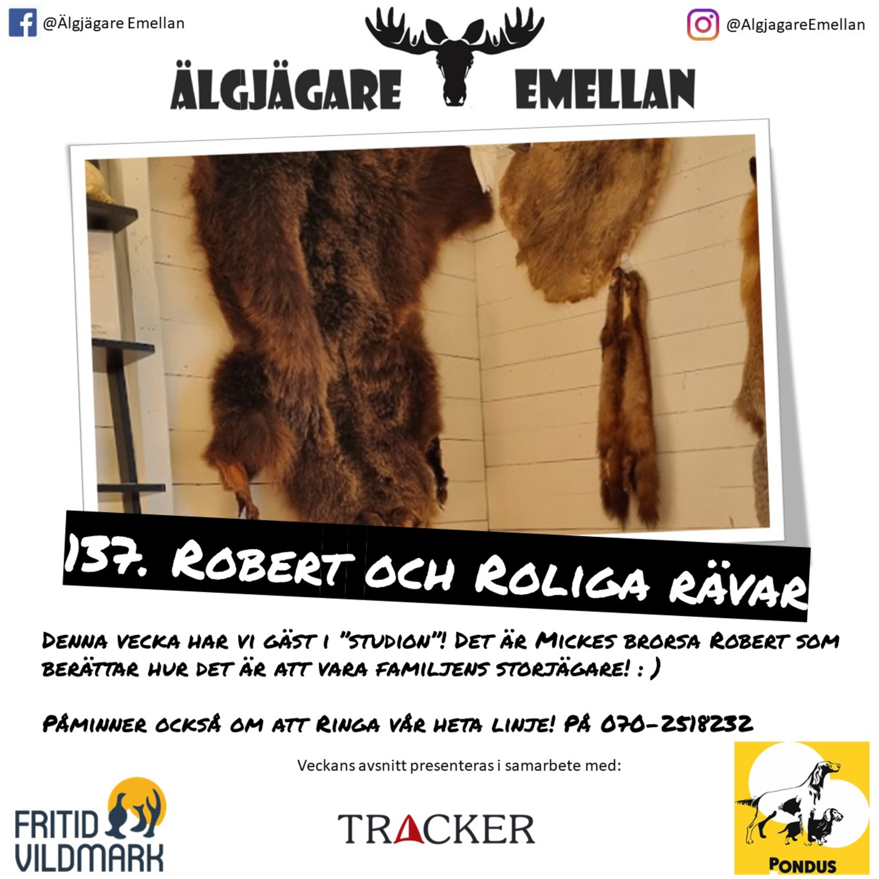 137. Robert & Roliga rävar episode artwork