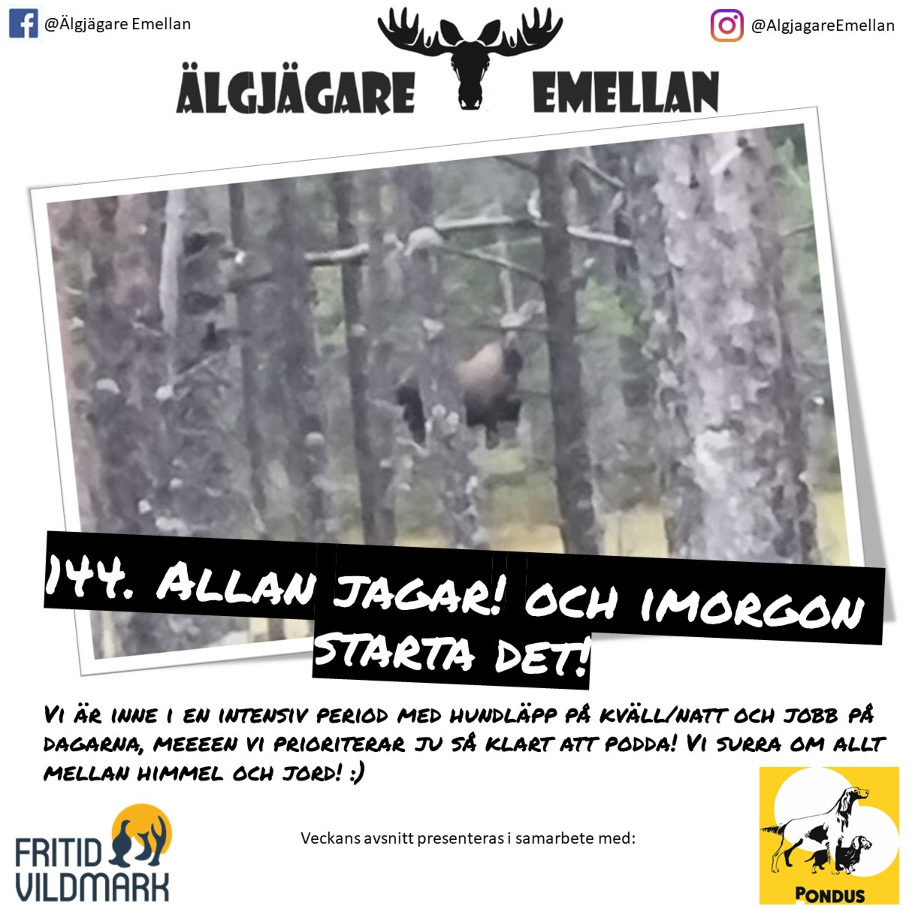 144. Allan jagar! & imorgon starta det! episode artwork