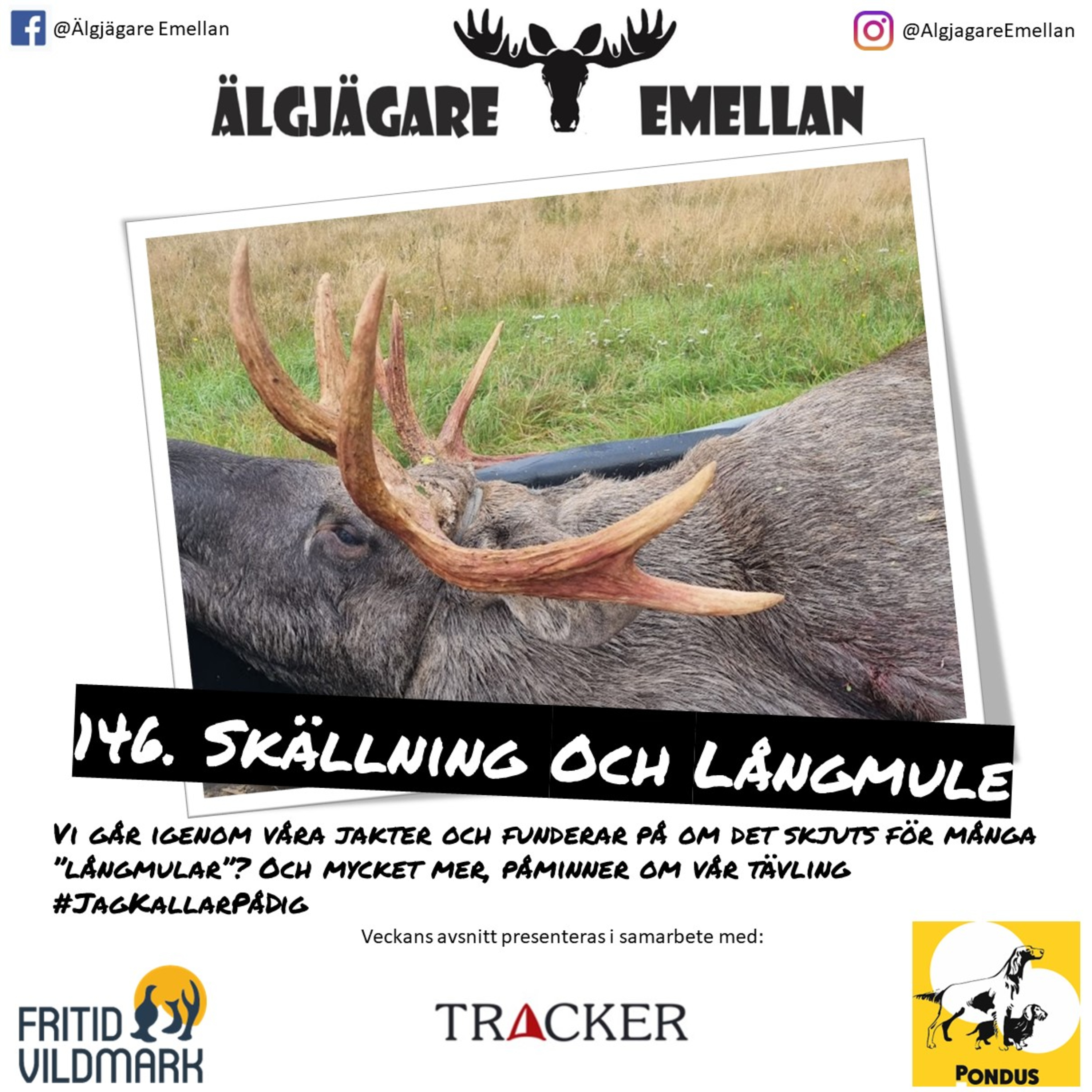 146. Skällning & Långmule episode artwork