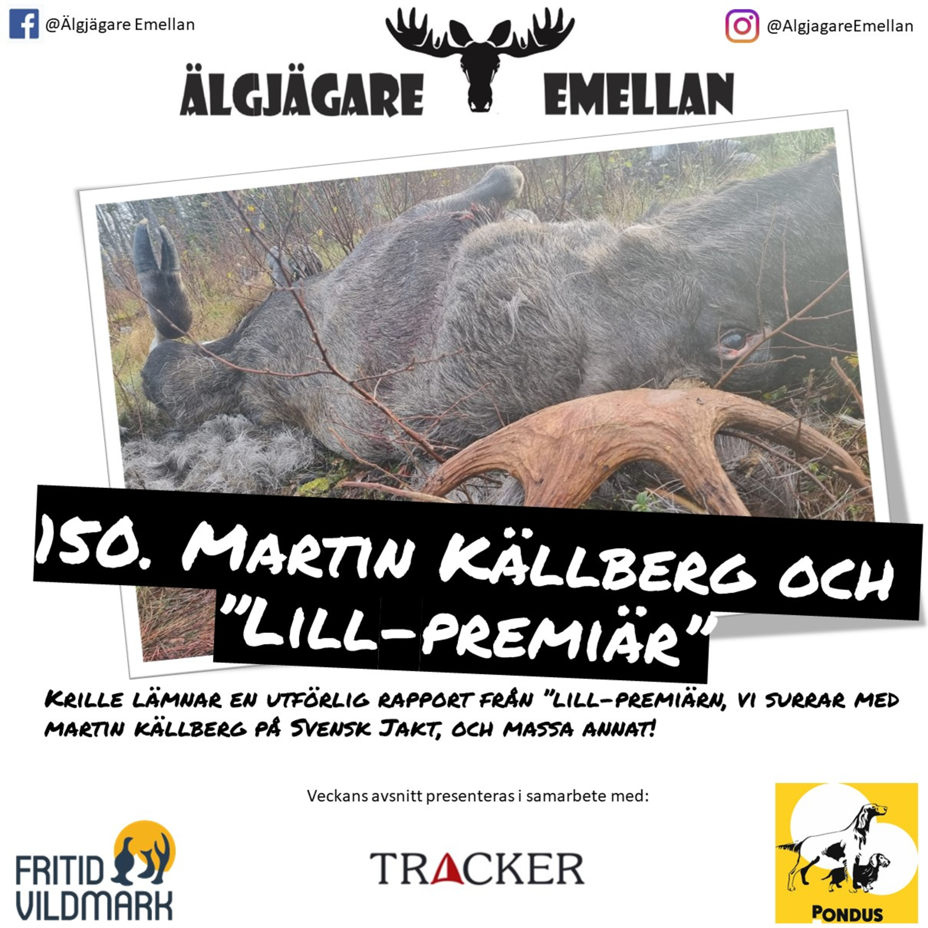 Älgjägare emellan