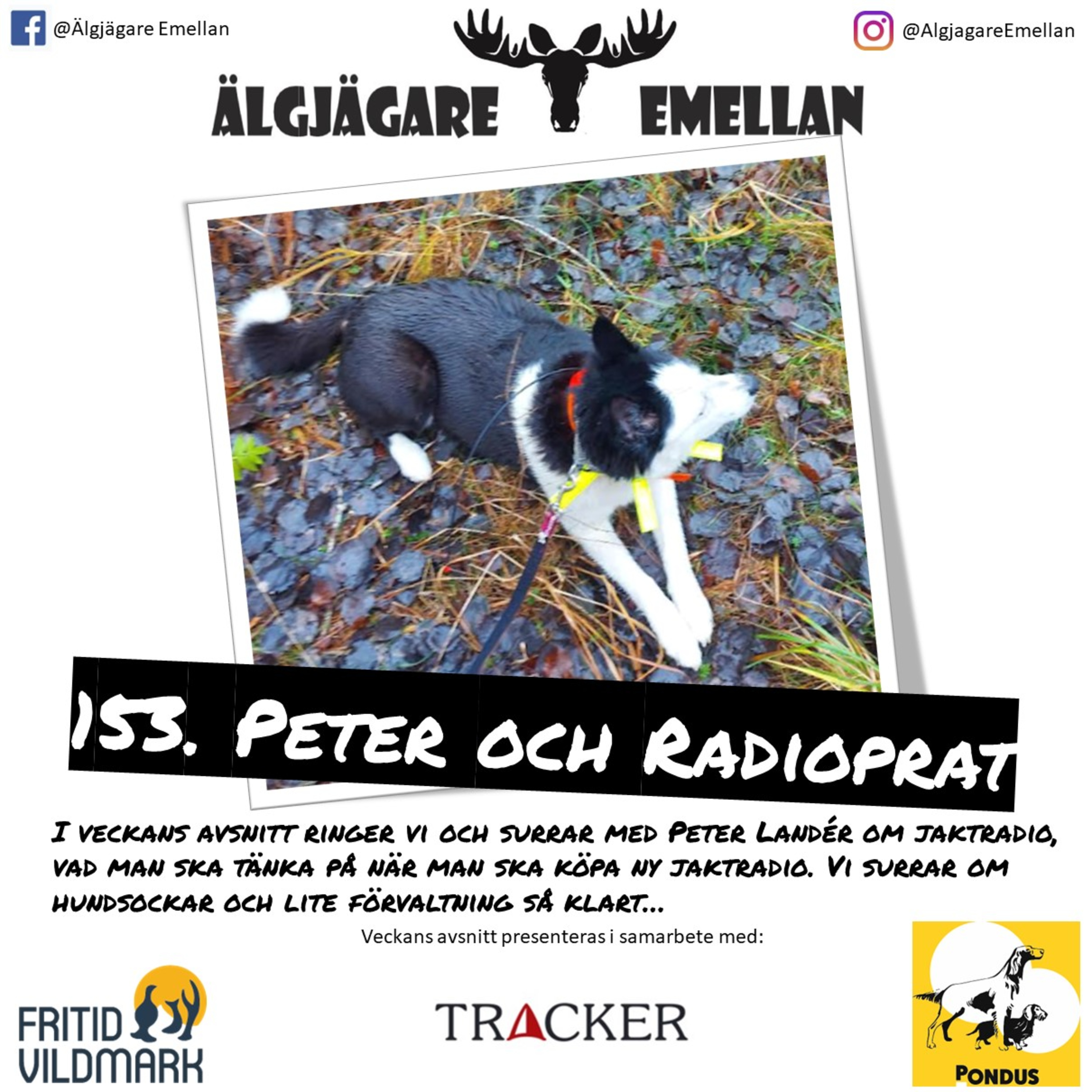153. Peter & Radioprat episode artwork