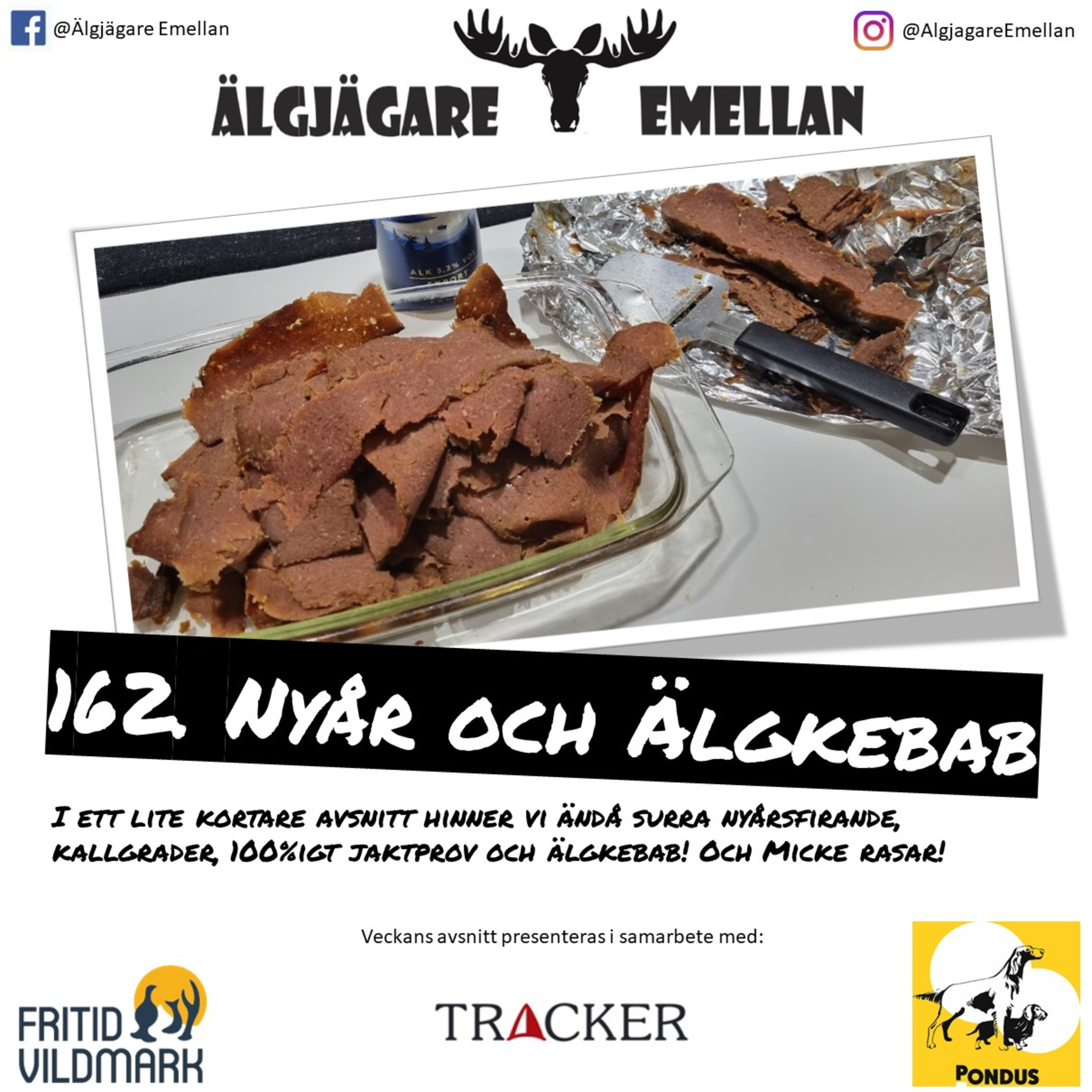 162. Nyår & Älgkebab episode artwork