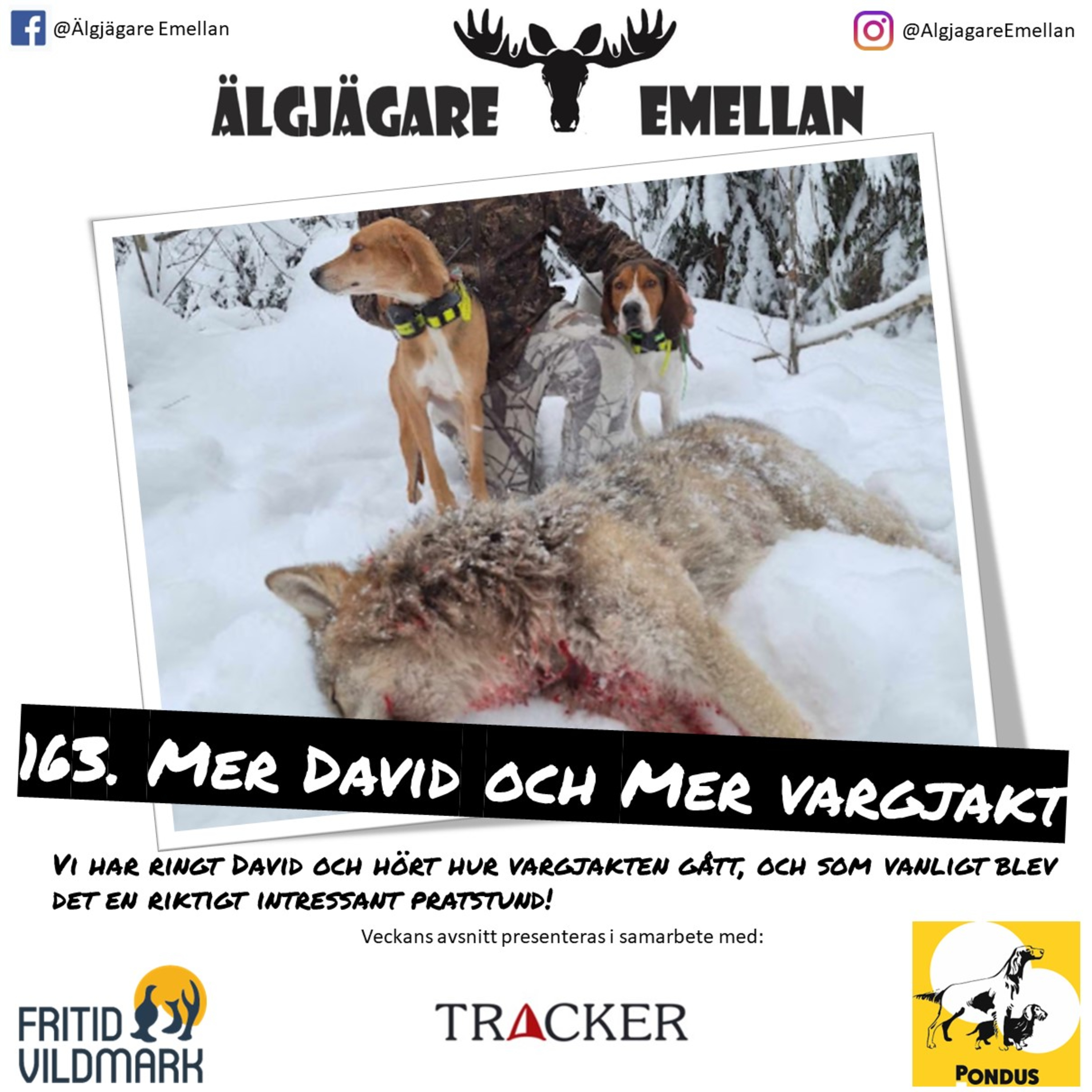 163. Mer David & Mer vargjakt episode artwork